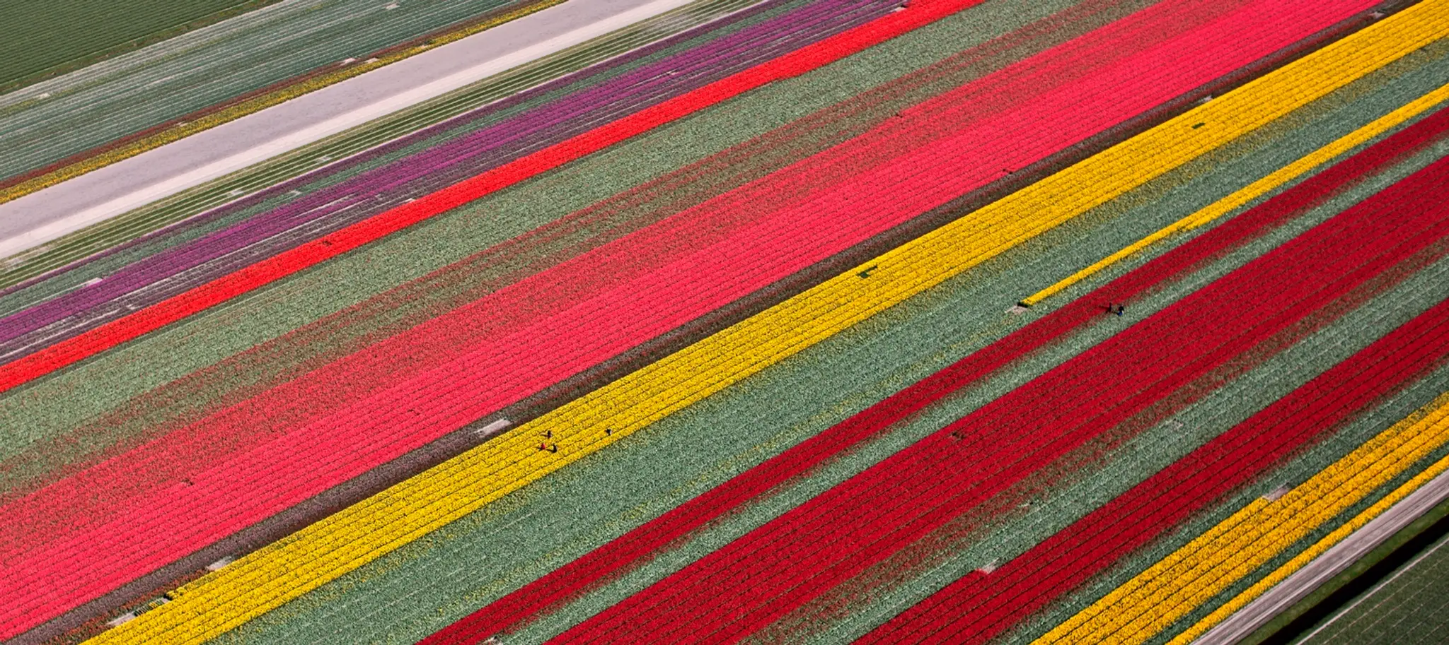 Netherlands_Daily_Life366409347151.jpg