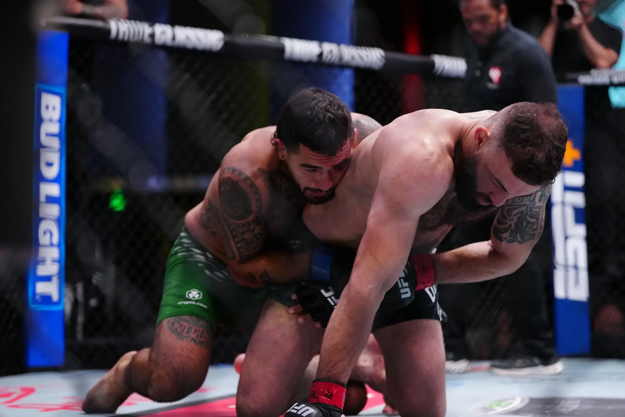 Anthony Hernandez a Roman Dolidze