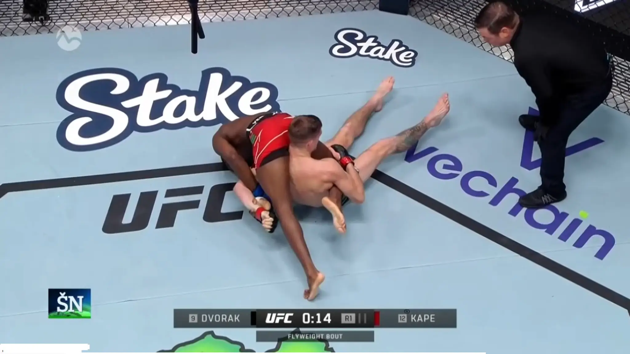 mma Dvořák.