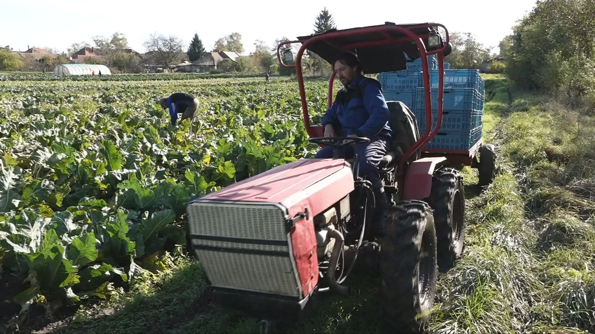farmár a traktor