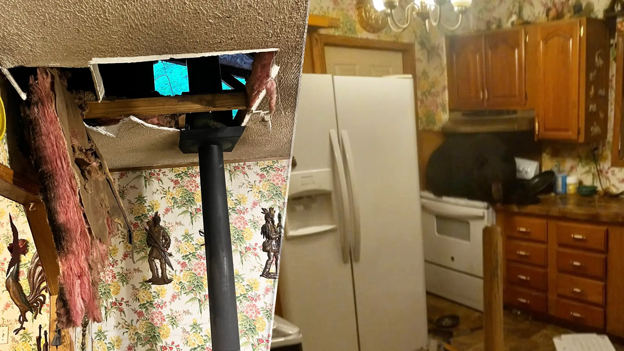 Medveď sa do domu dostal cez strop