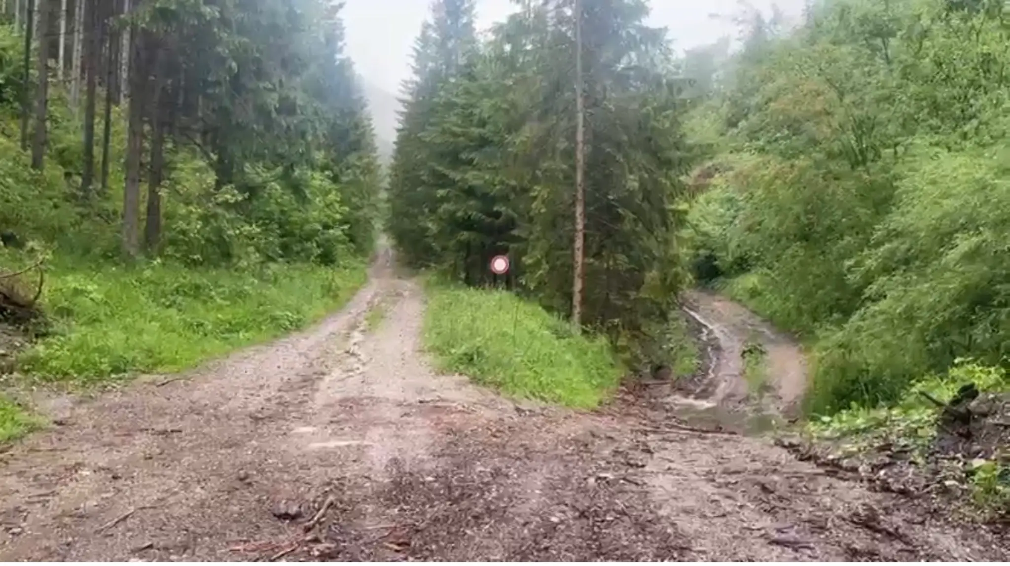 V doline pod Liptovským hradom napadol medveď lesného pracovníka.
