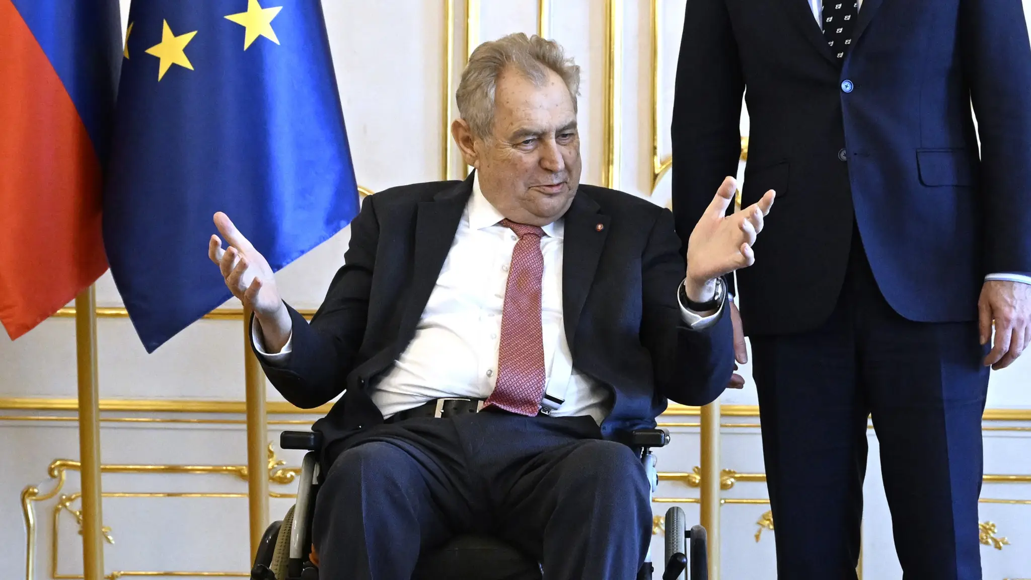 Bývalý český prezident Miloš Zeman