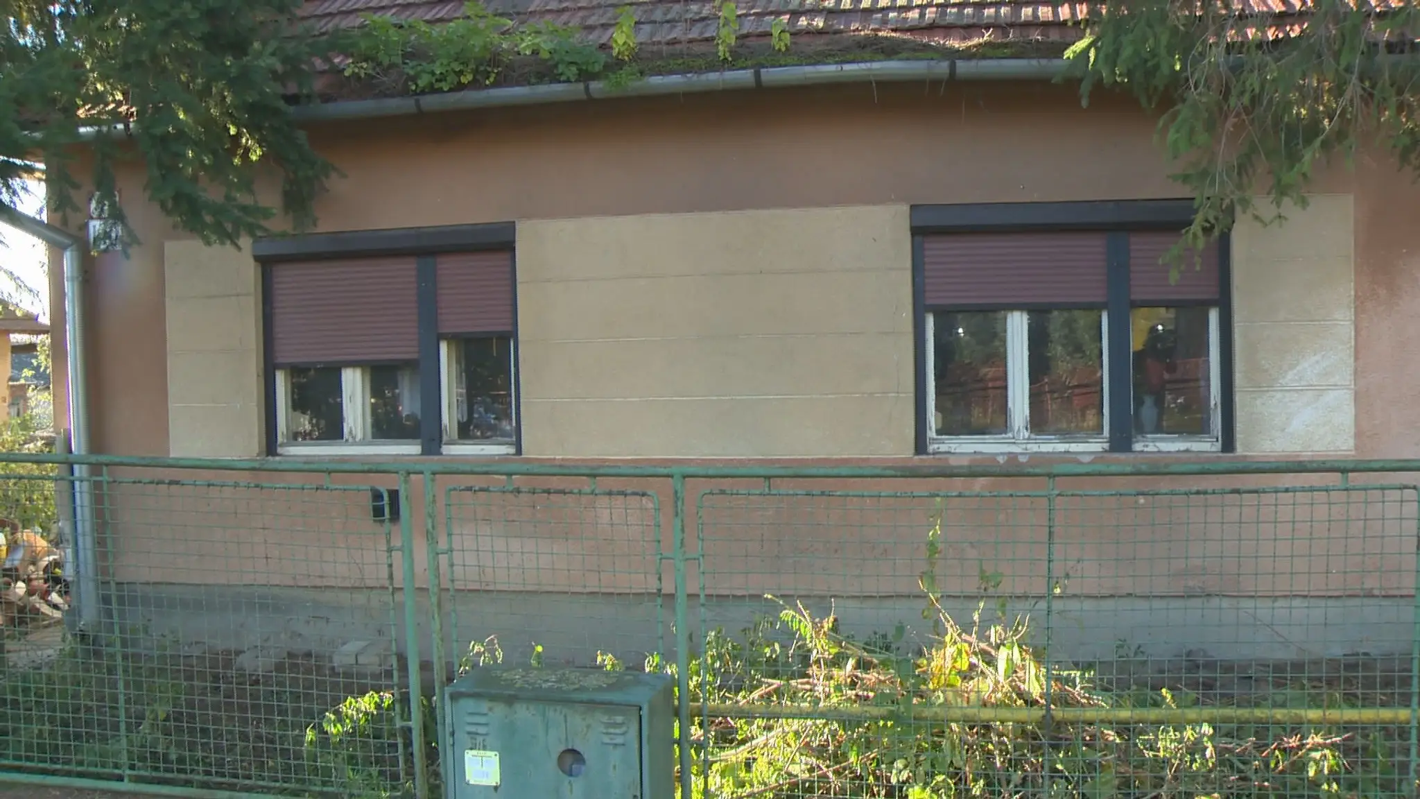 Po kolapse majiteľky zachránili z domu hrôzy 14 psov