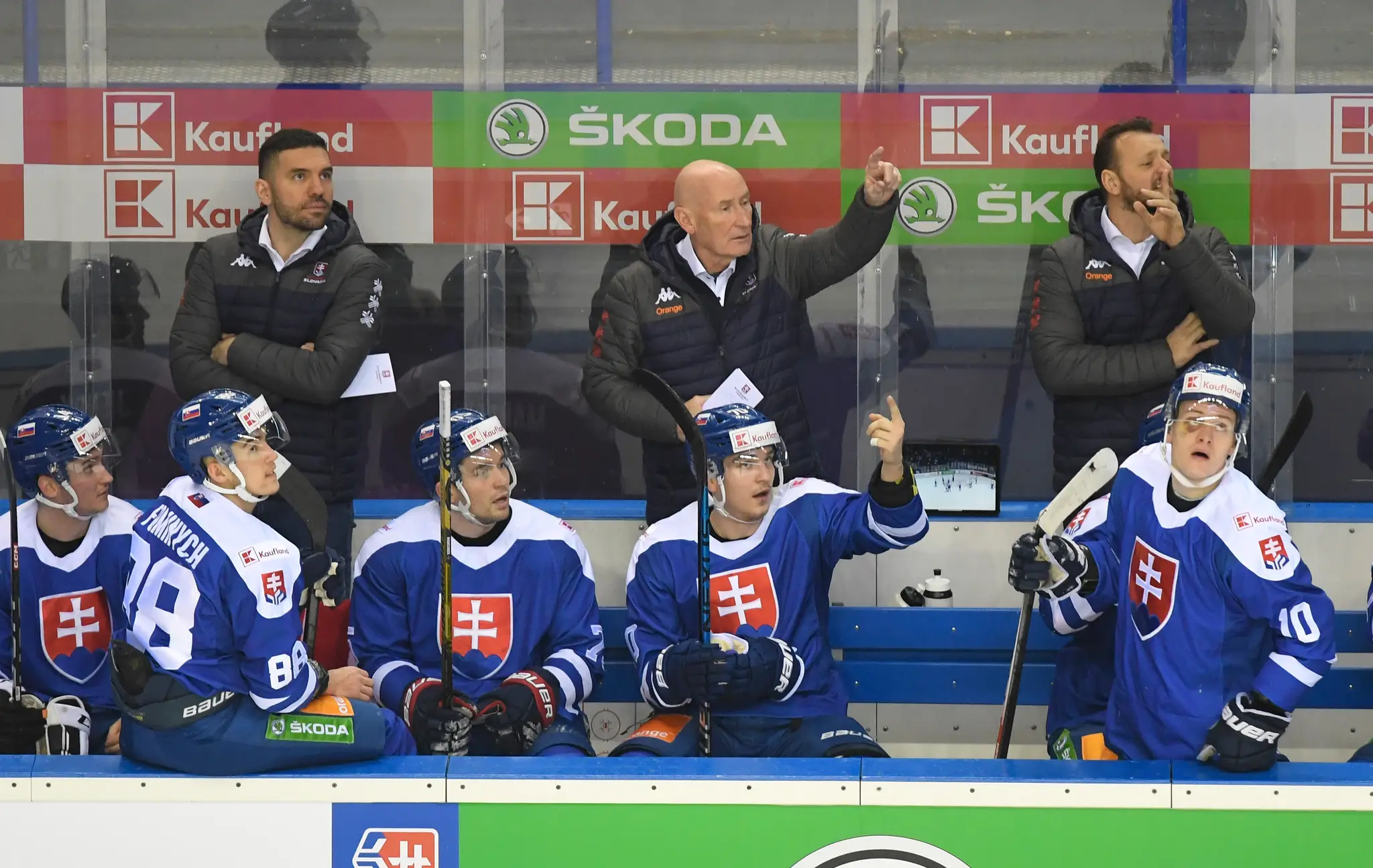 Hokejová reprezentácia.