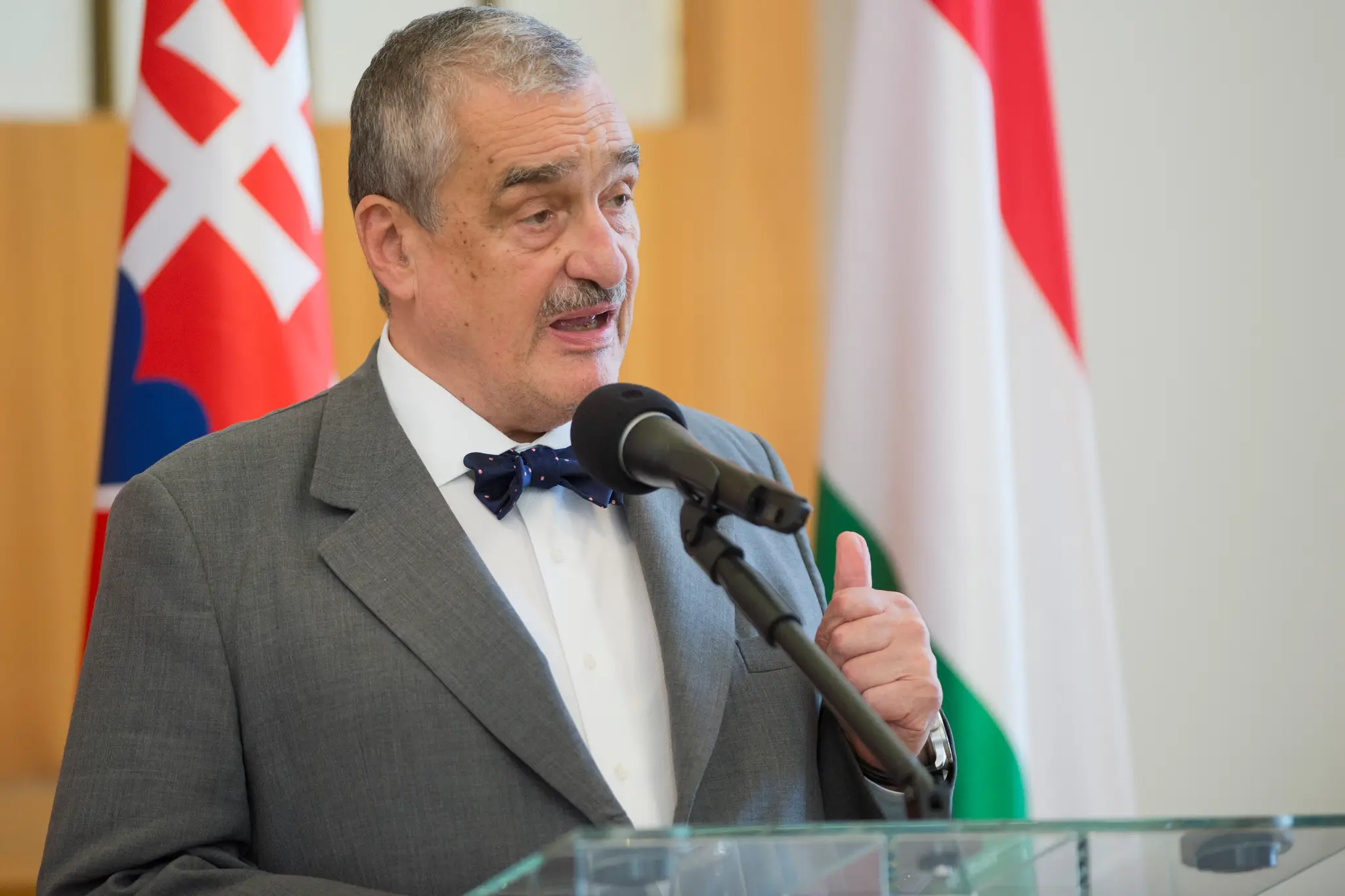 Karel Schwarzenberg.