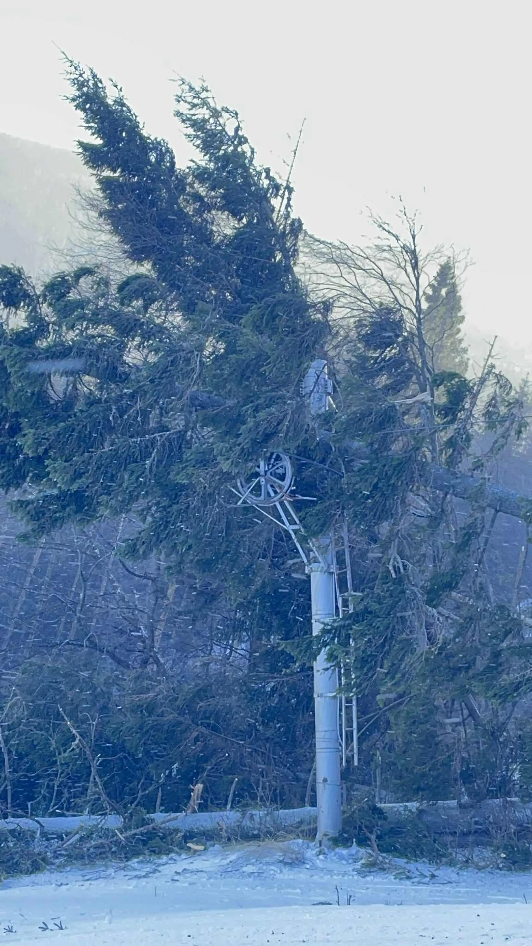 Silný vietor napáchal škody v SKI Resorte Smrečiny.