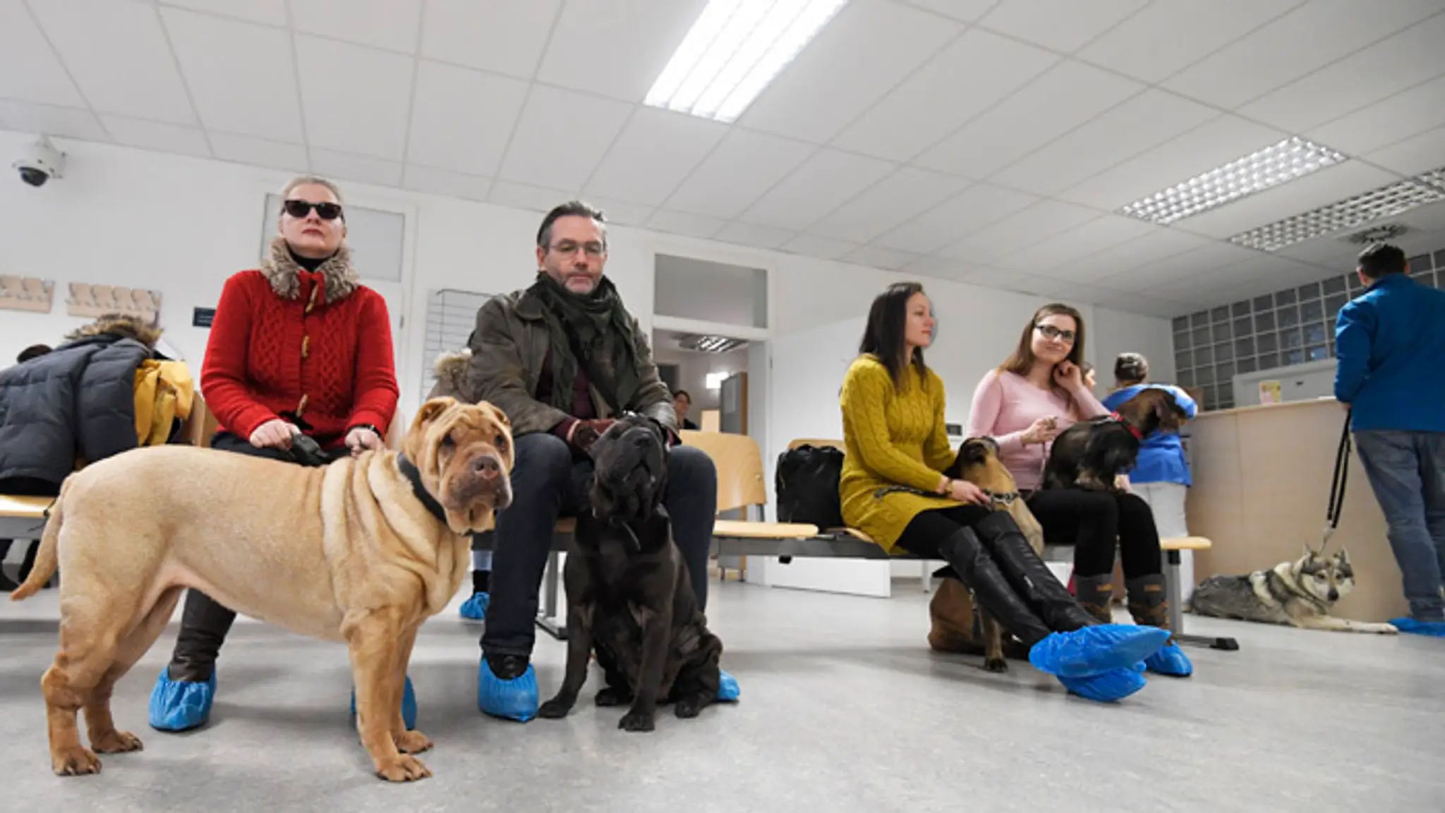 Zuzana Čaputová navštívila veterinárnu nemocnicu v Univerzite veterinárskeho lekárstva a farmácie v Košiciach.