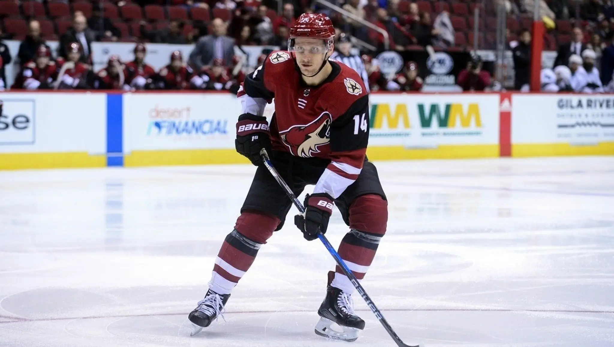 Richard Pánik v drese Arizony Coyotes.