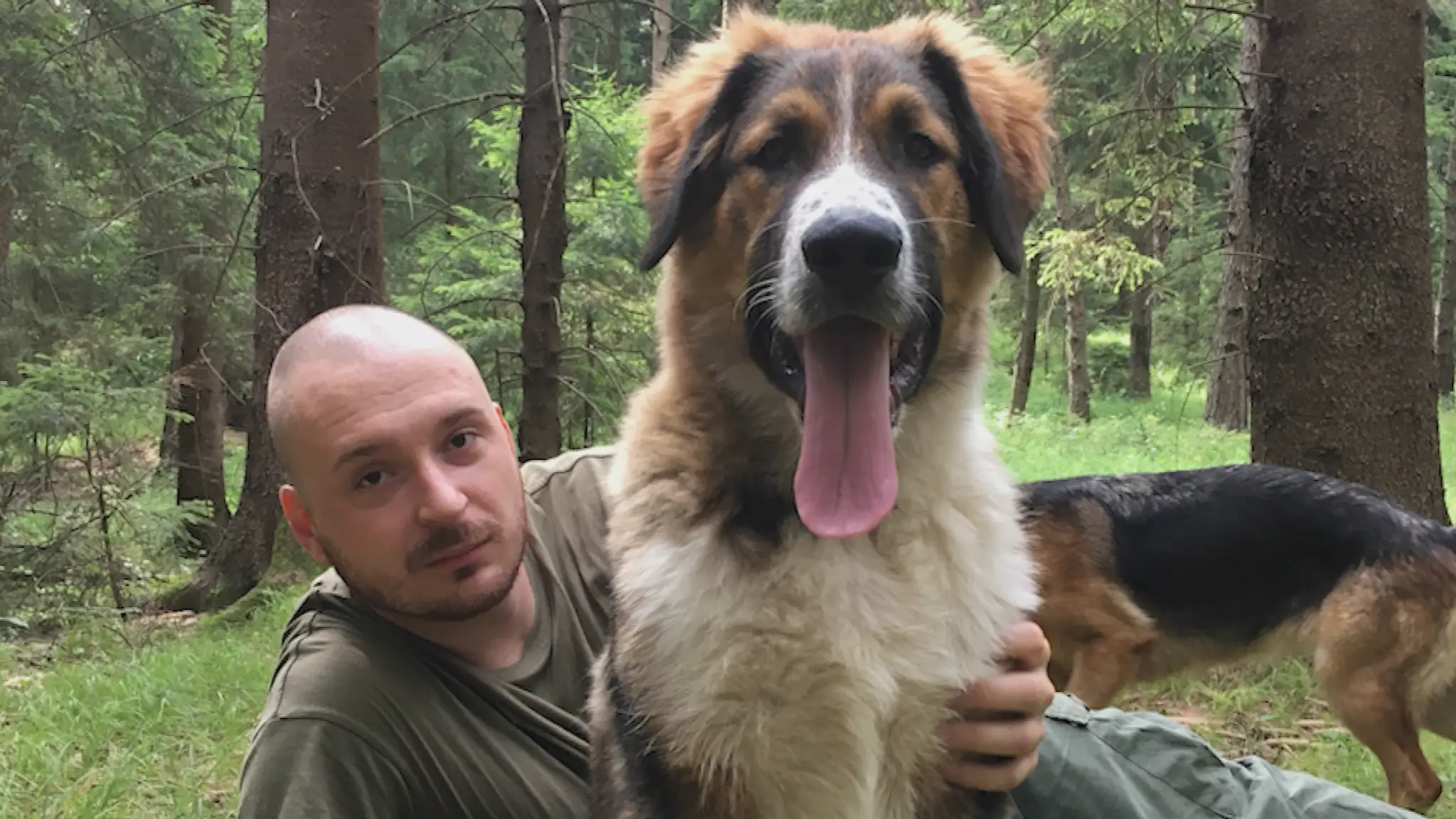 Rodine z Turca zastrelili psa