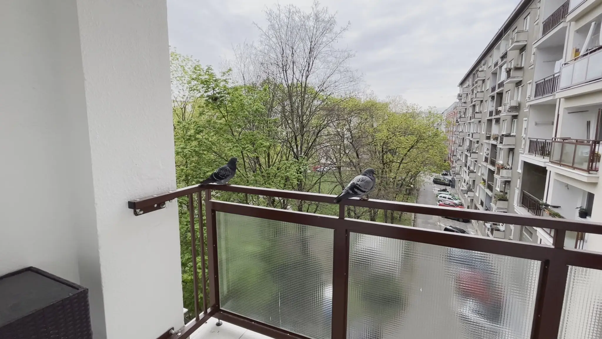 Holuby na balkóne paneláka