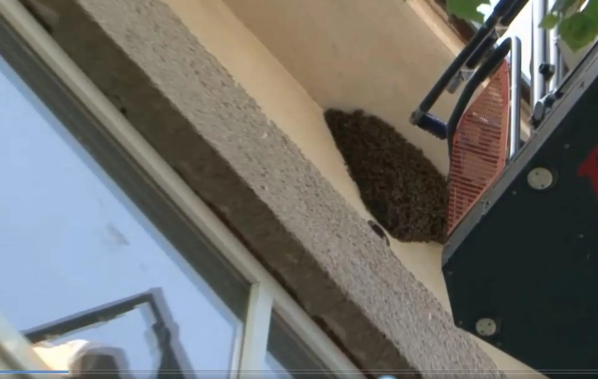 Včely pod strechou.
