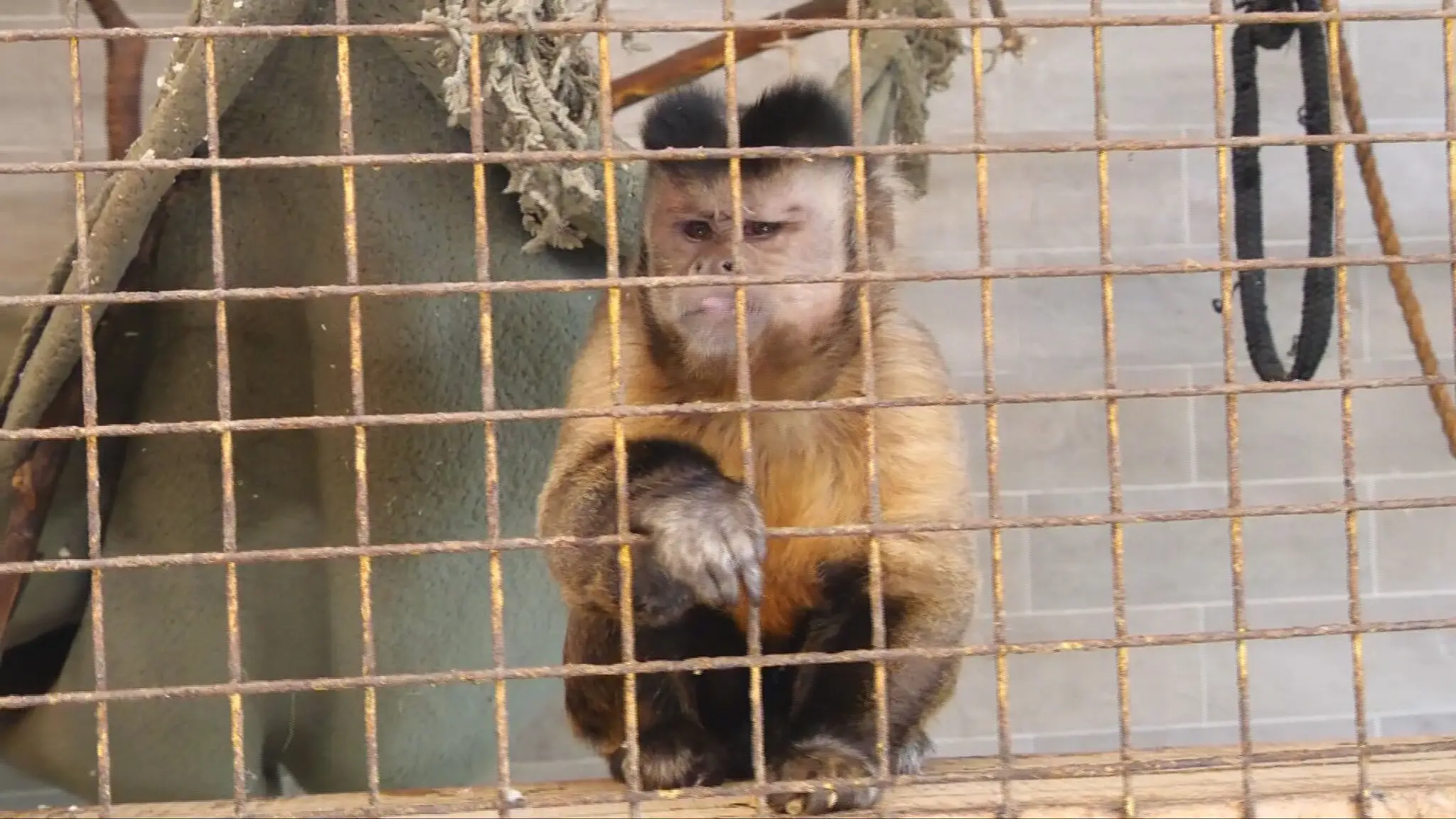 Minizoo v Žiline