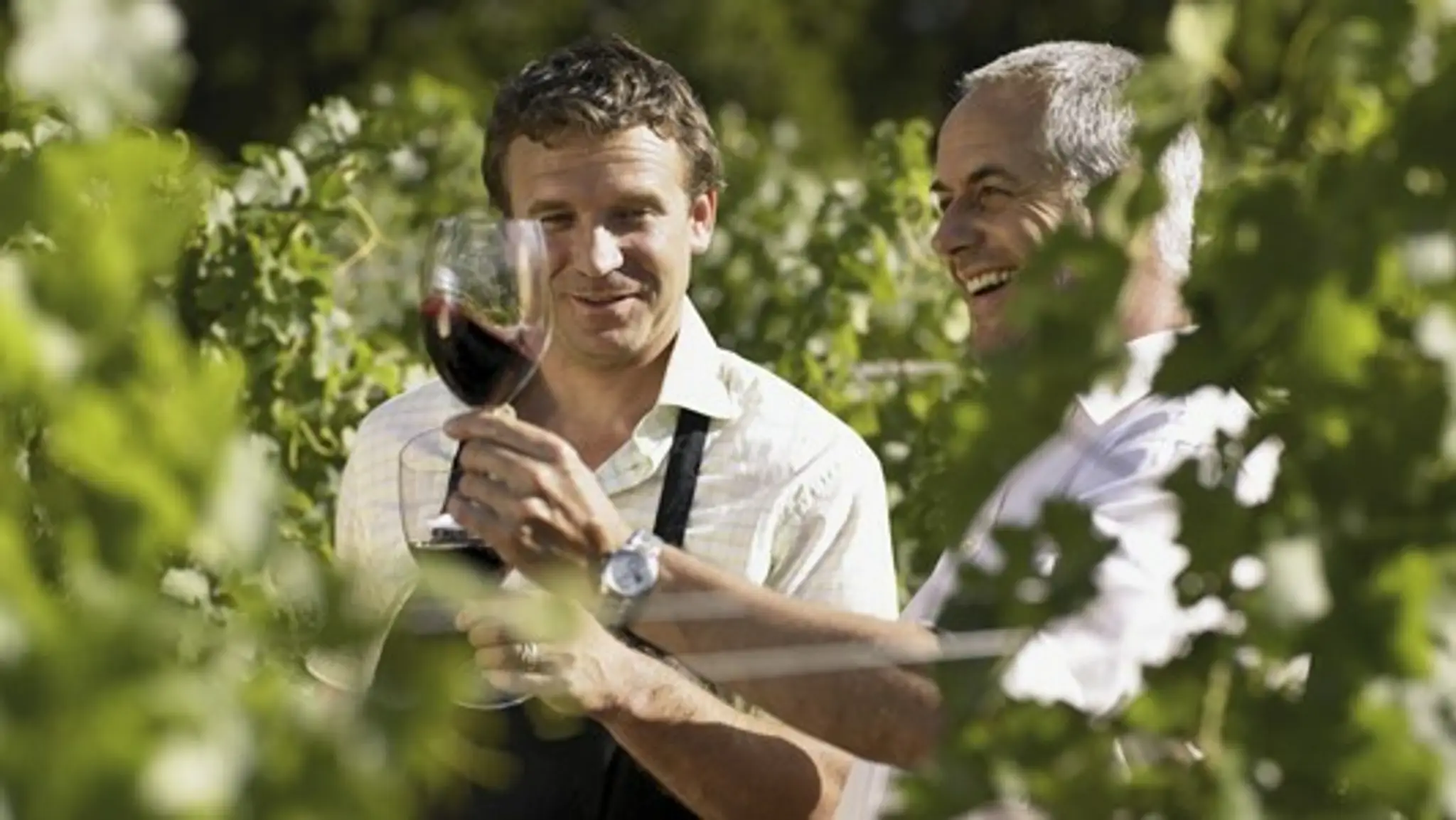 cervene-vino-ma-aj-svoje-udolie.jpg