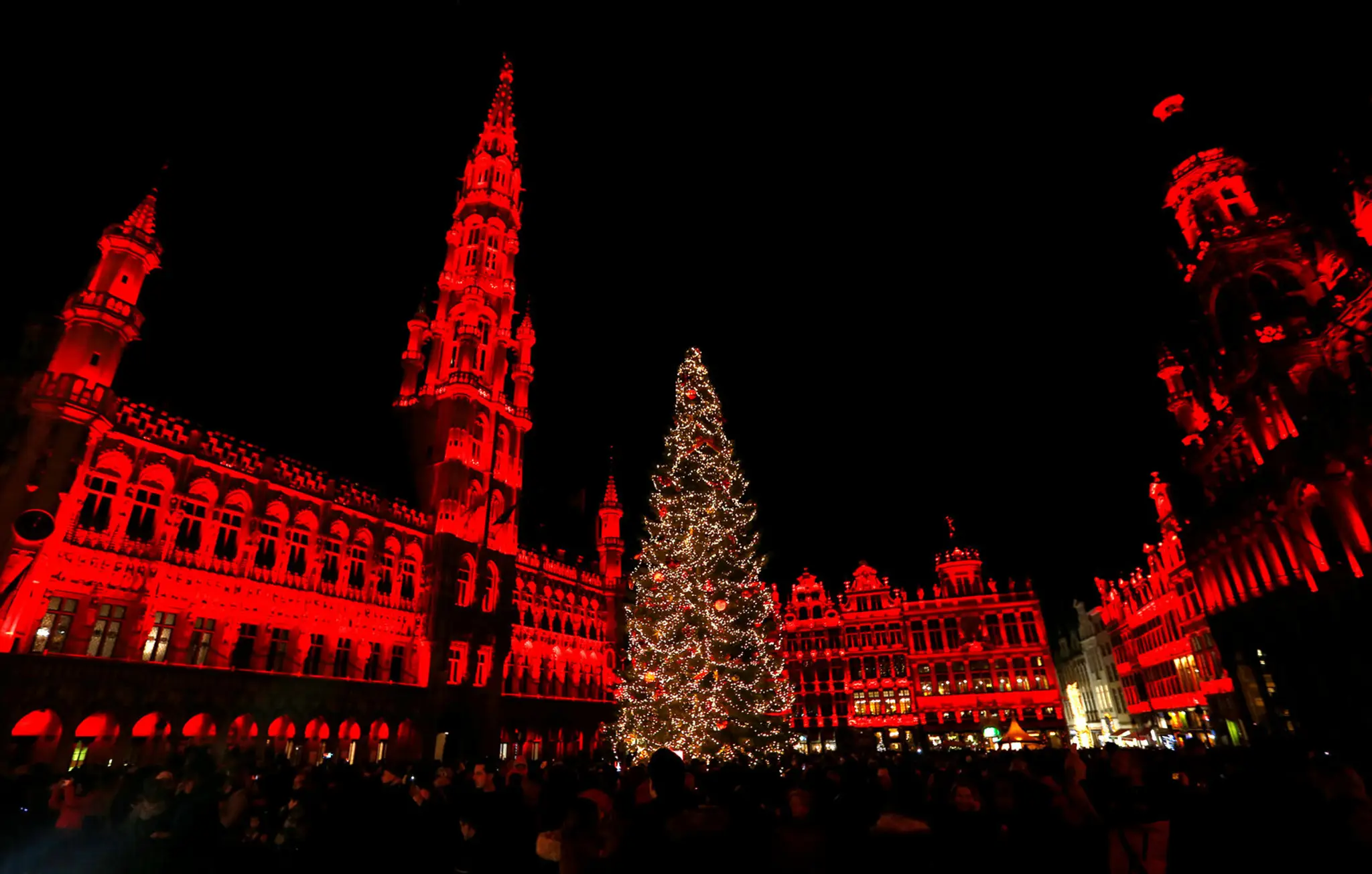 Vianočný stromček z horných Orešian na hlavnom Bruselskom námestí.