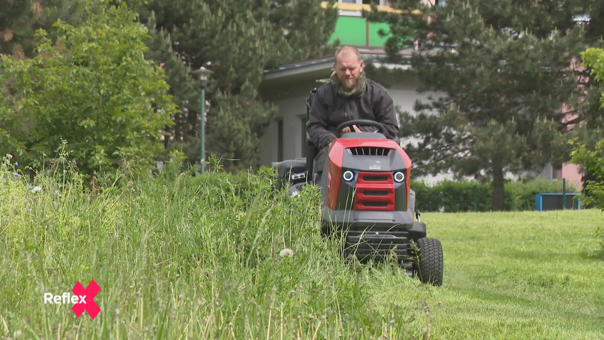 Kosiť či nekosiť? Alergici a ekoaktivisti majú iný názor