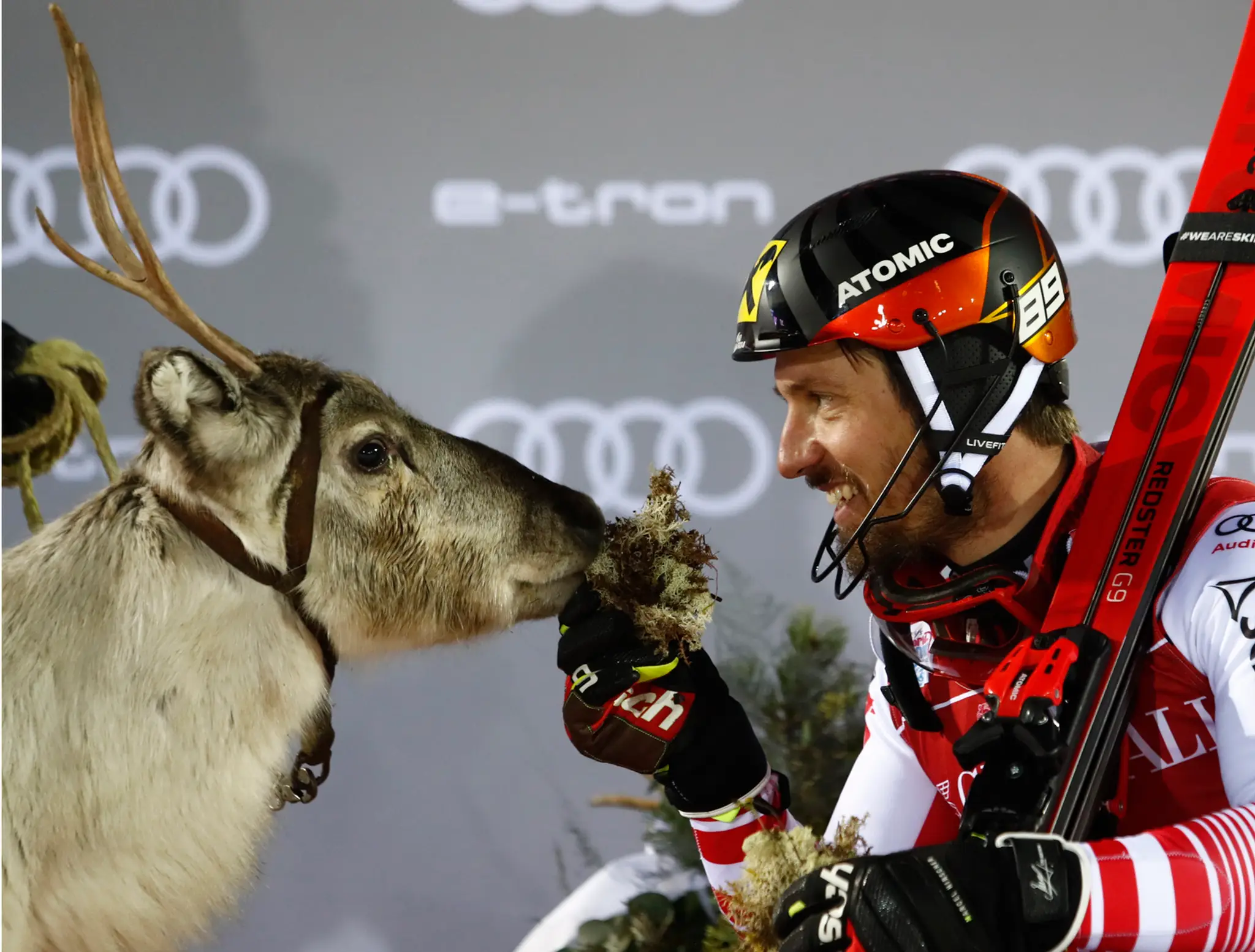rakúsky slalomár Marcel Hirscher kŕmi darček za víťazstvo - mladého soba..jpg