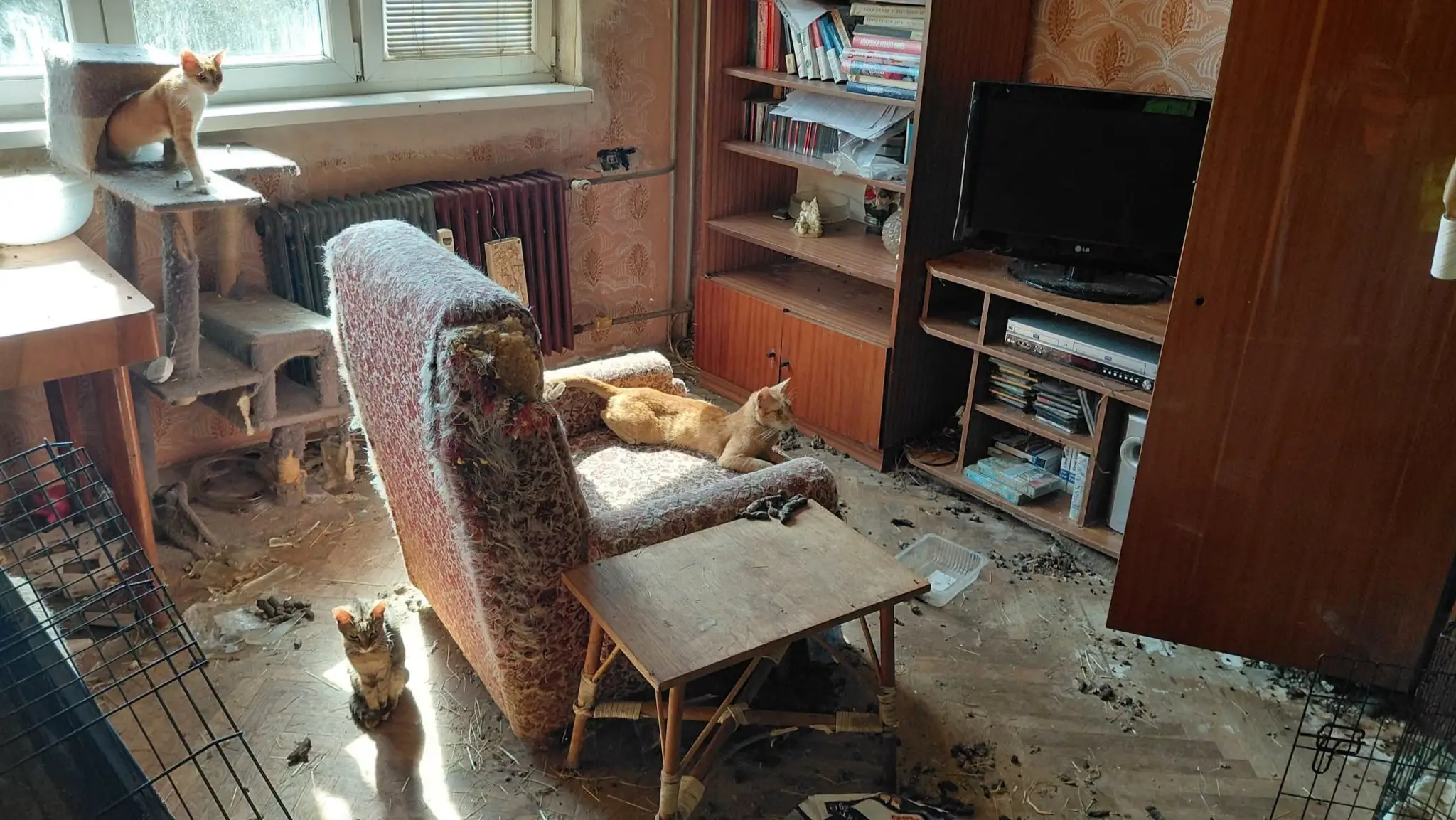 Katastrofálne podmienky a zanedbané zvieratá.