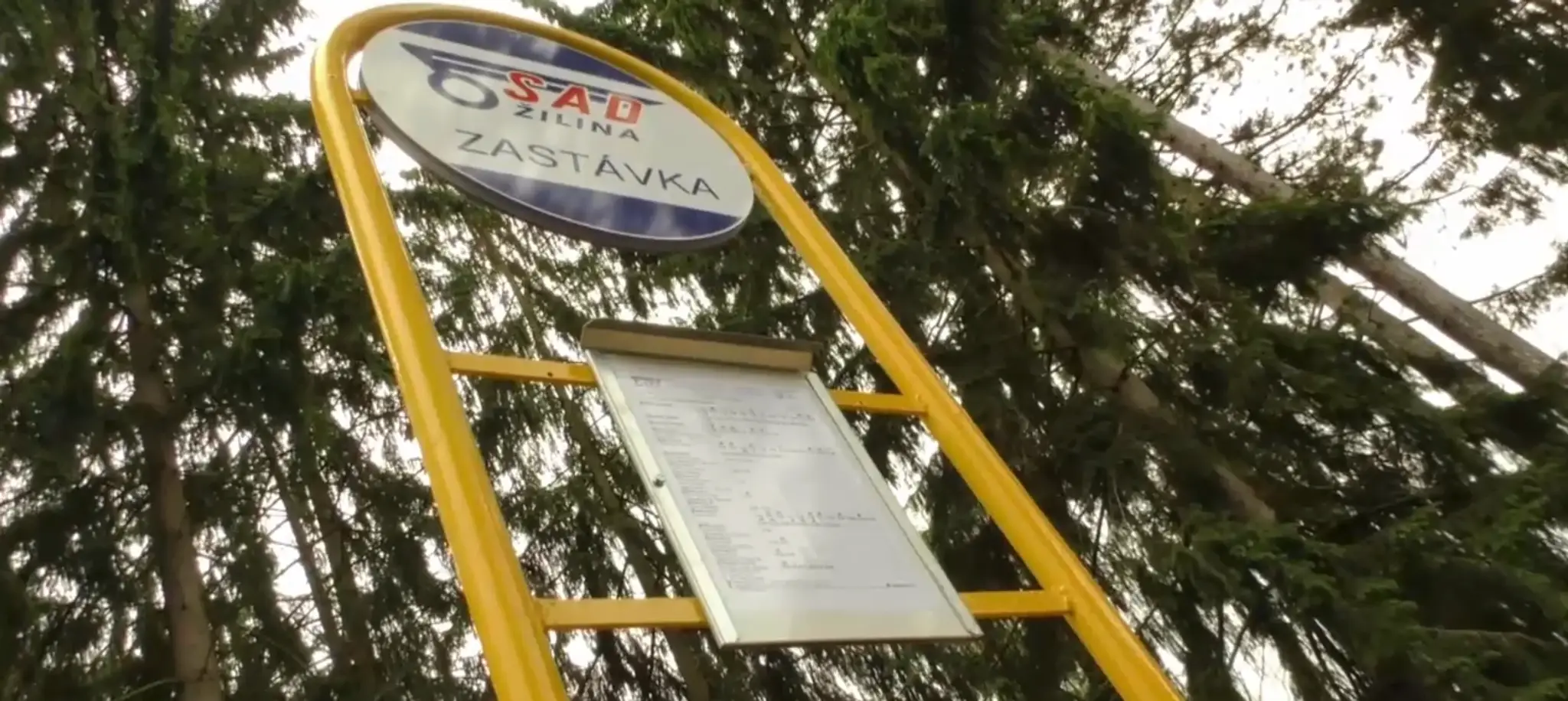 Bez názvu.png