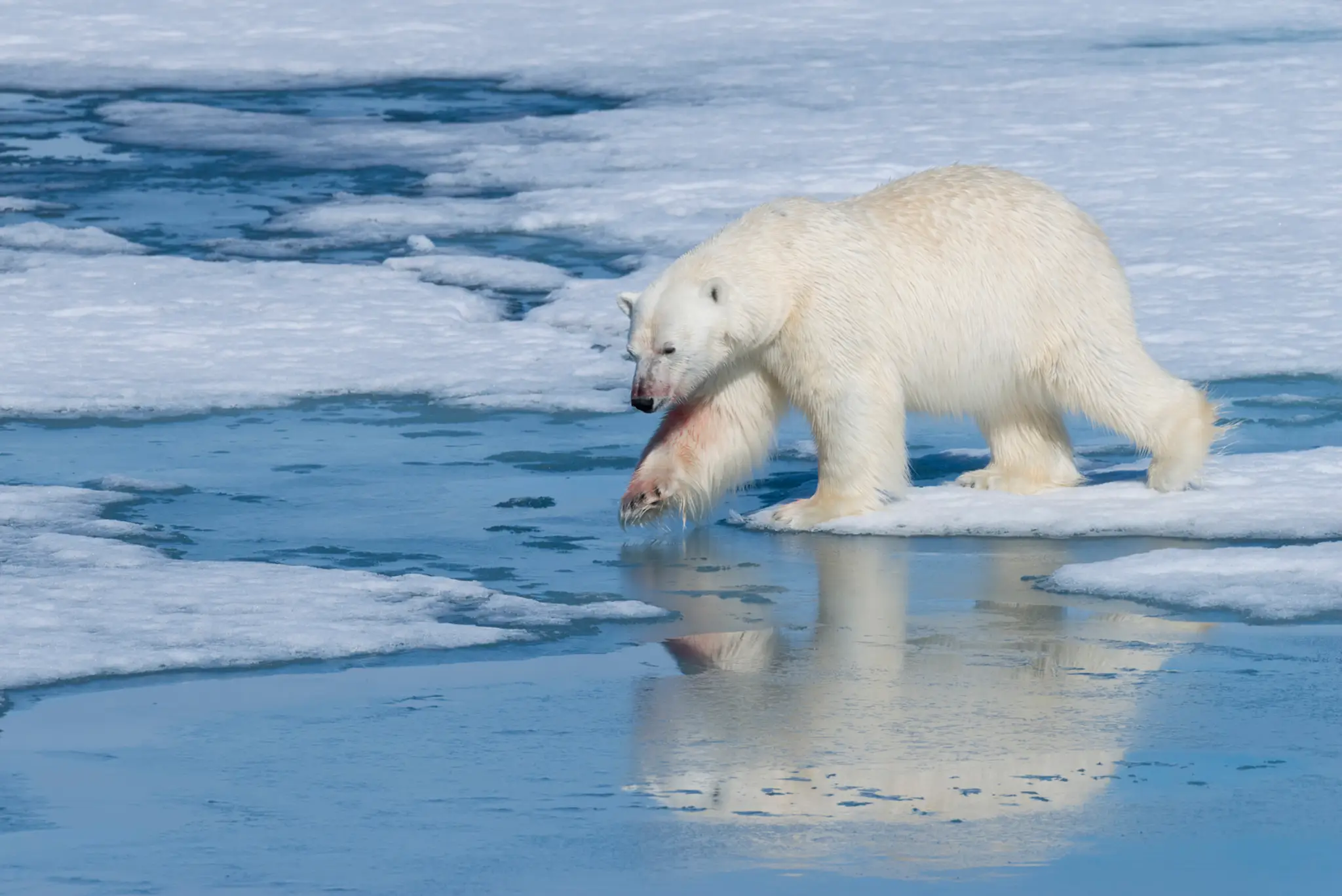 Pohľad na kempingovú oblasť neďaleko hlavného mesta Longyearbyen.