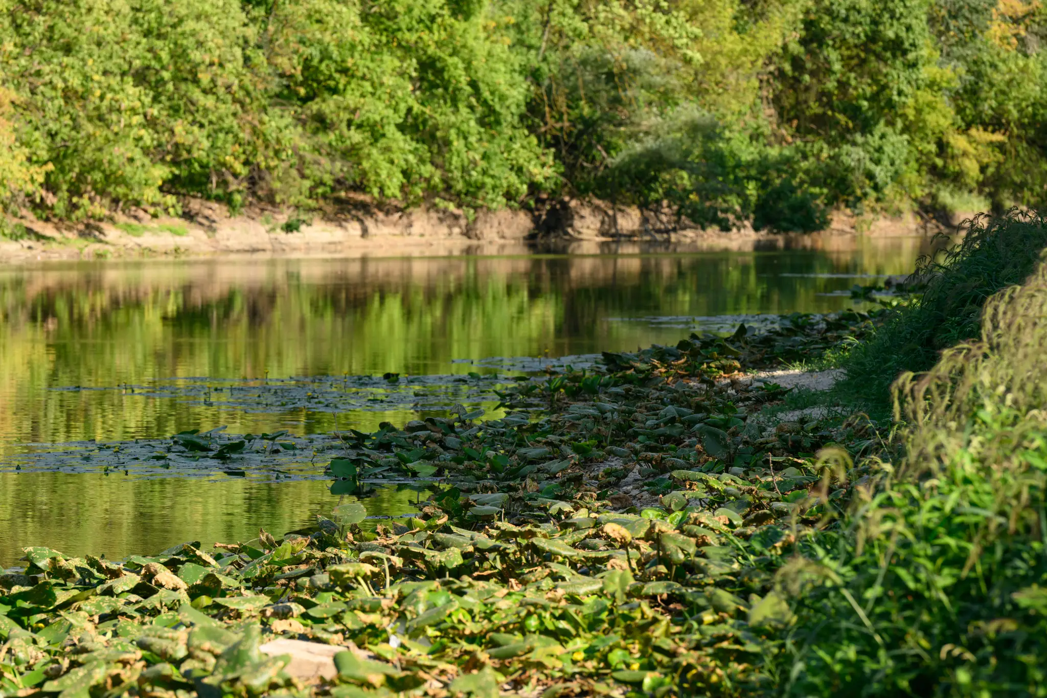 Kolárovo, Malý Dunaj.