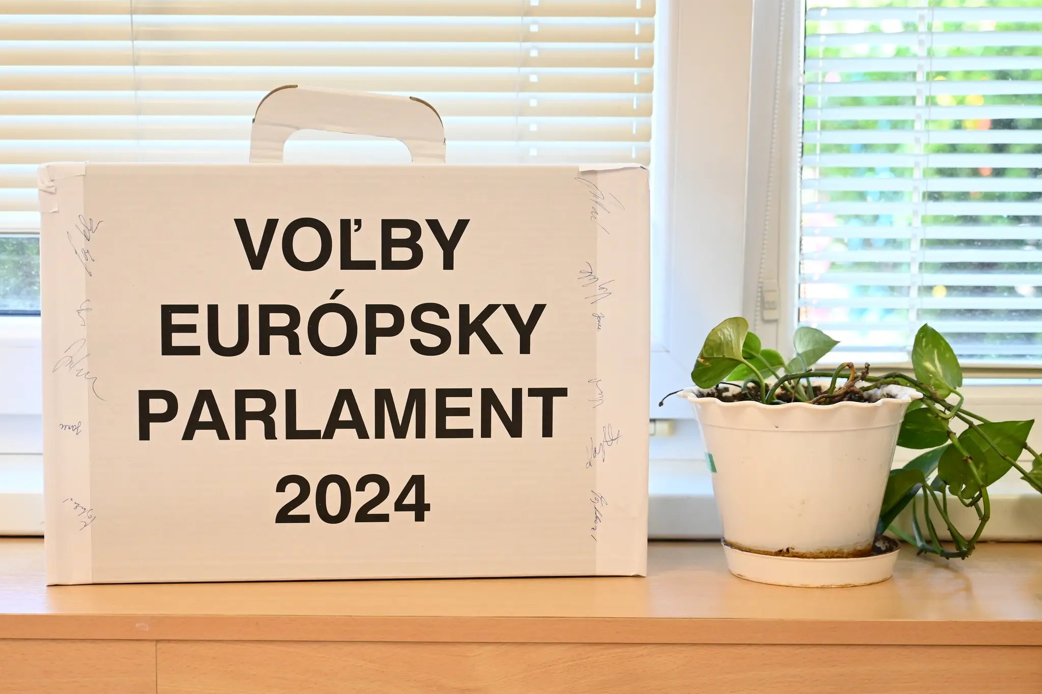 Voľby do EP 2024