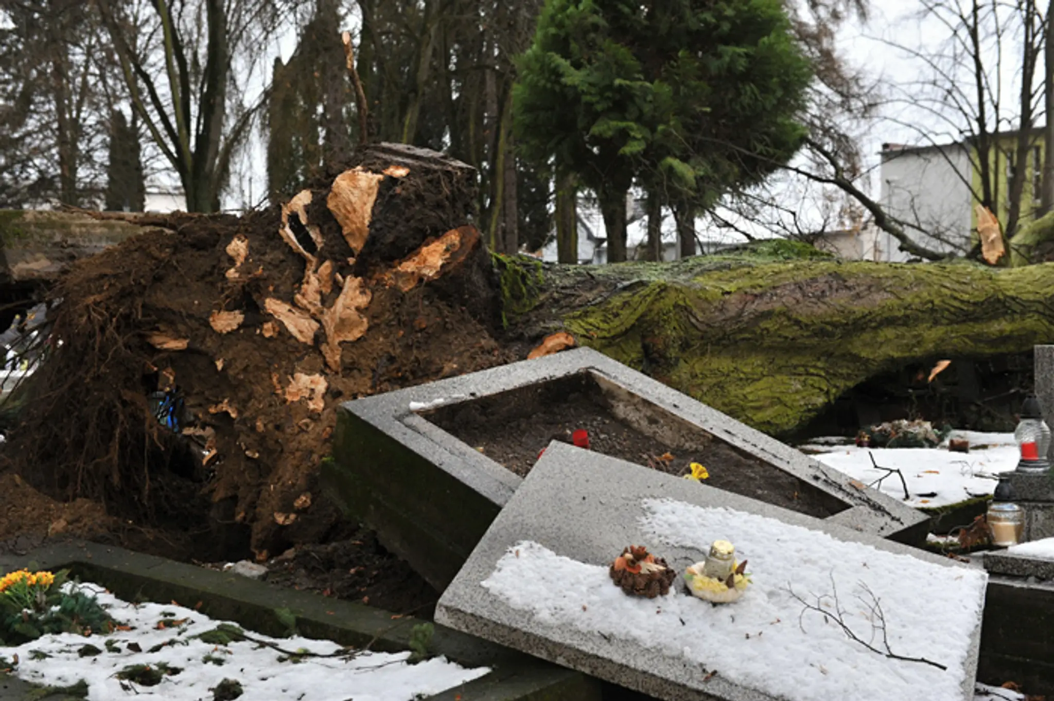 Vyvrátený strom a poškodený hrob na Národnom cintoríne v Martine po veternej smršti.