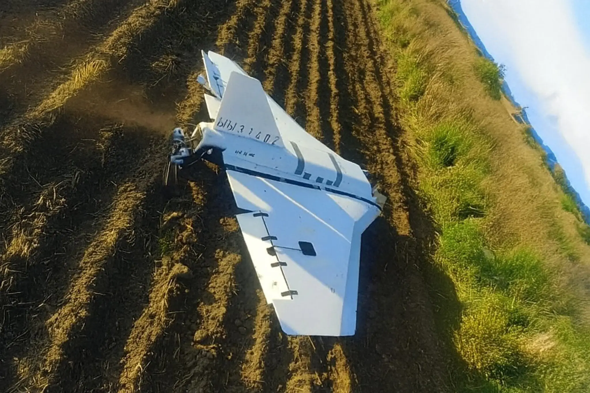 Dron Gerbera.