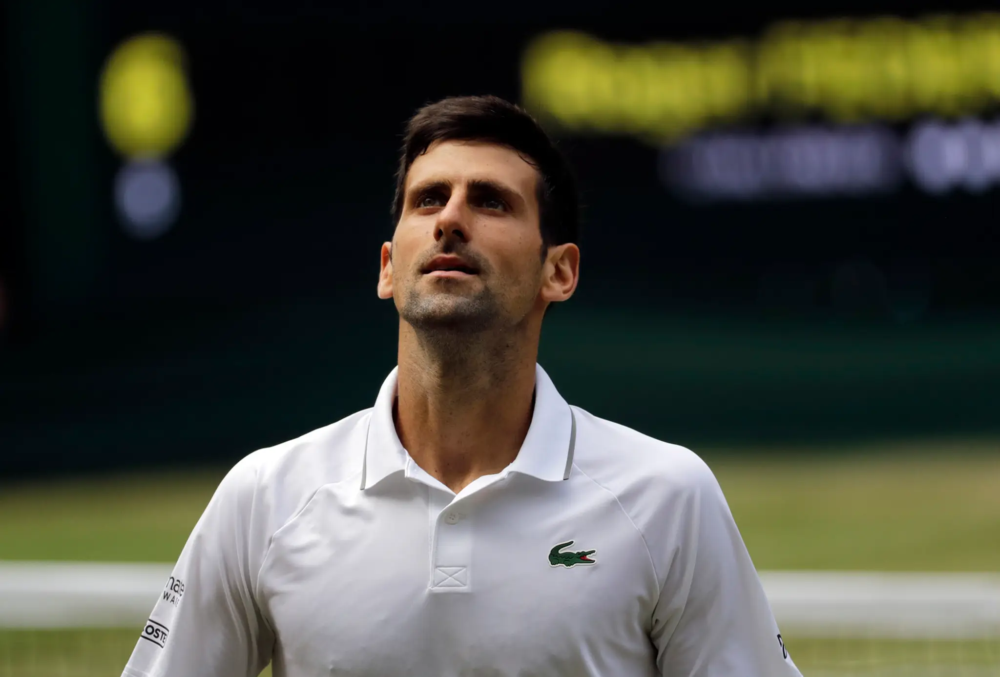 Tenista Novak Djokovič vo finále Wimbledonu.