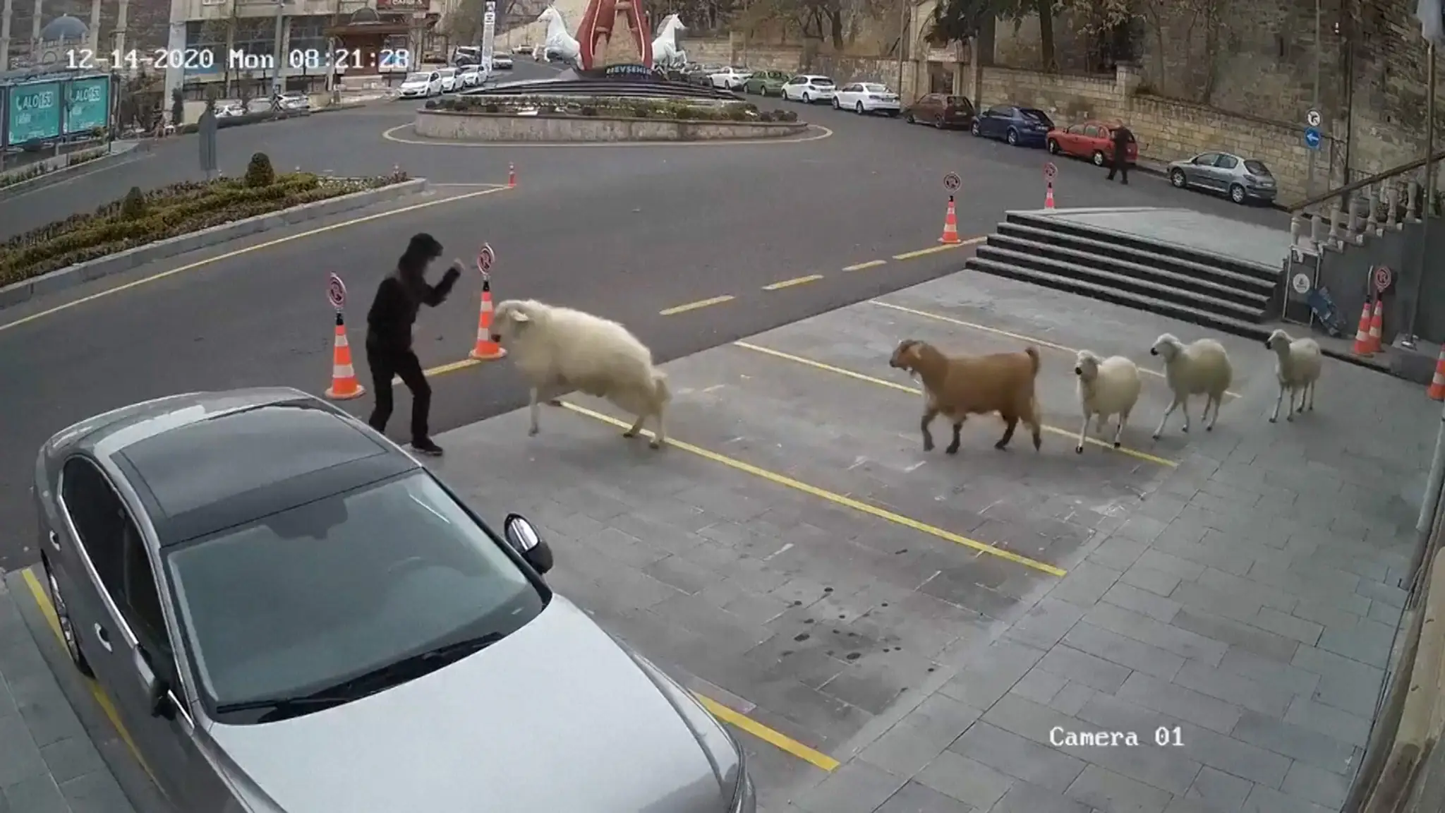 Hasiči vyťahujú z rieky auto, v ktorom zahynulo sedem ľudí.