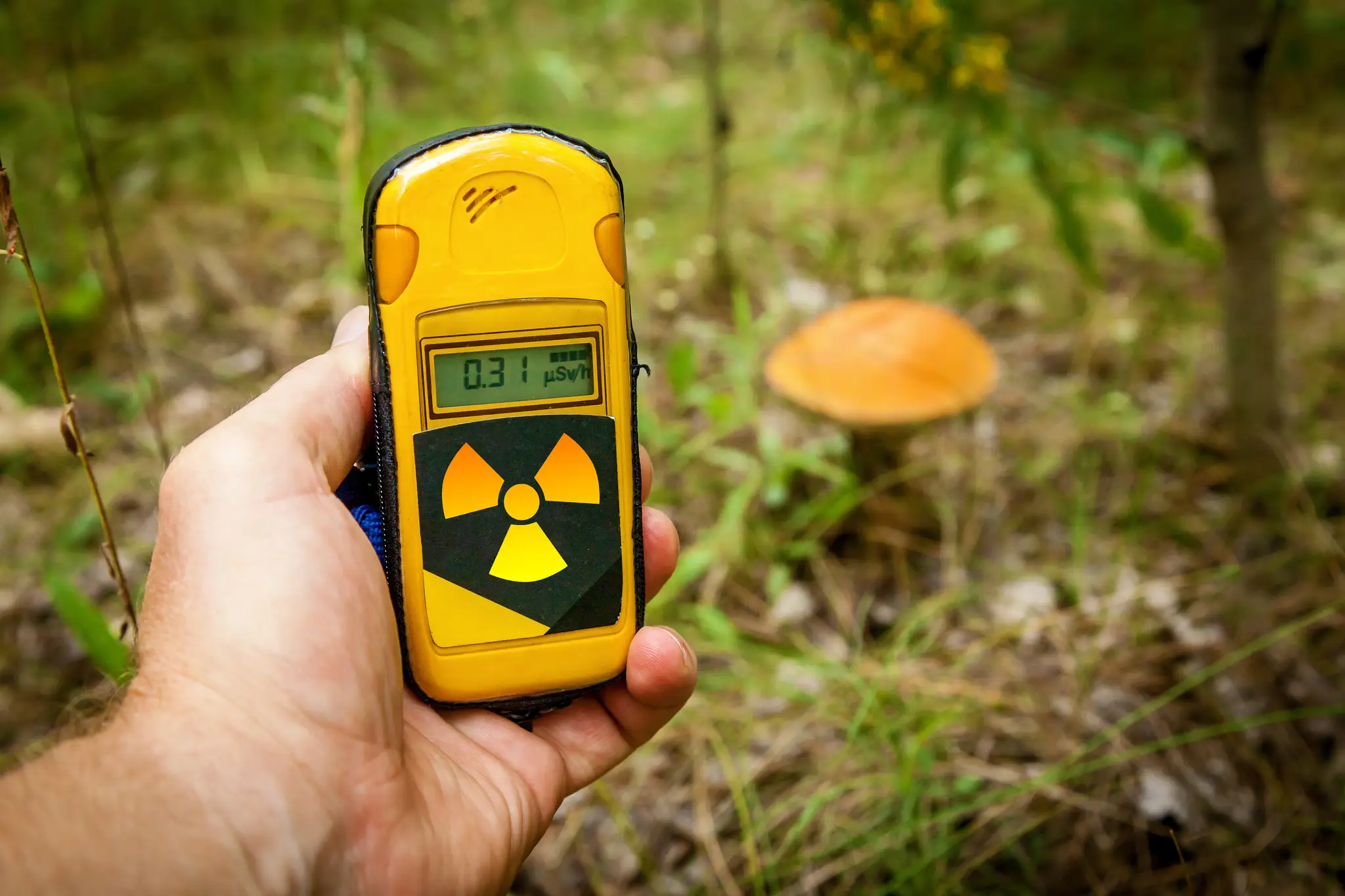 Dozimeter - detektor radiácie.