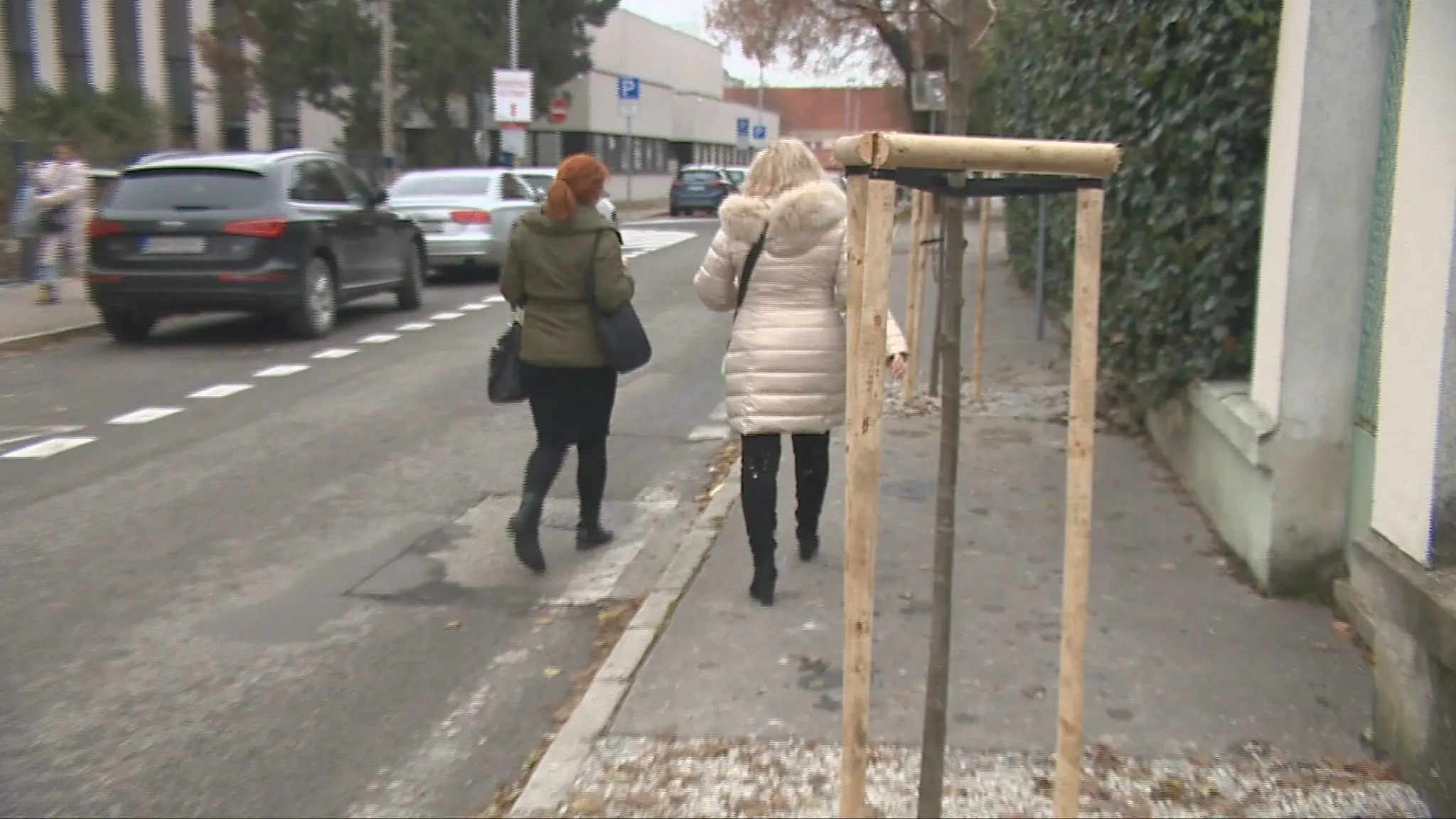 Vysadené stromy uprostred chodníka v Nitre