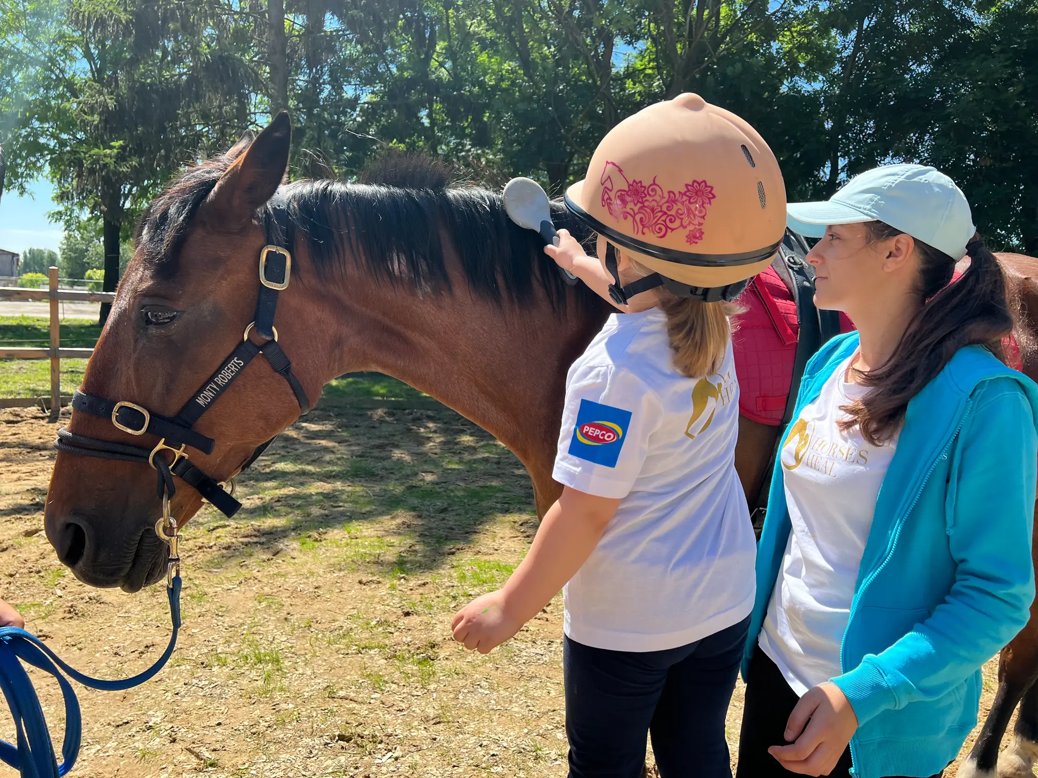Horse Heal