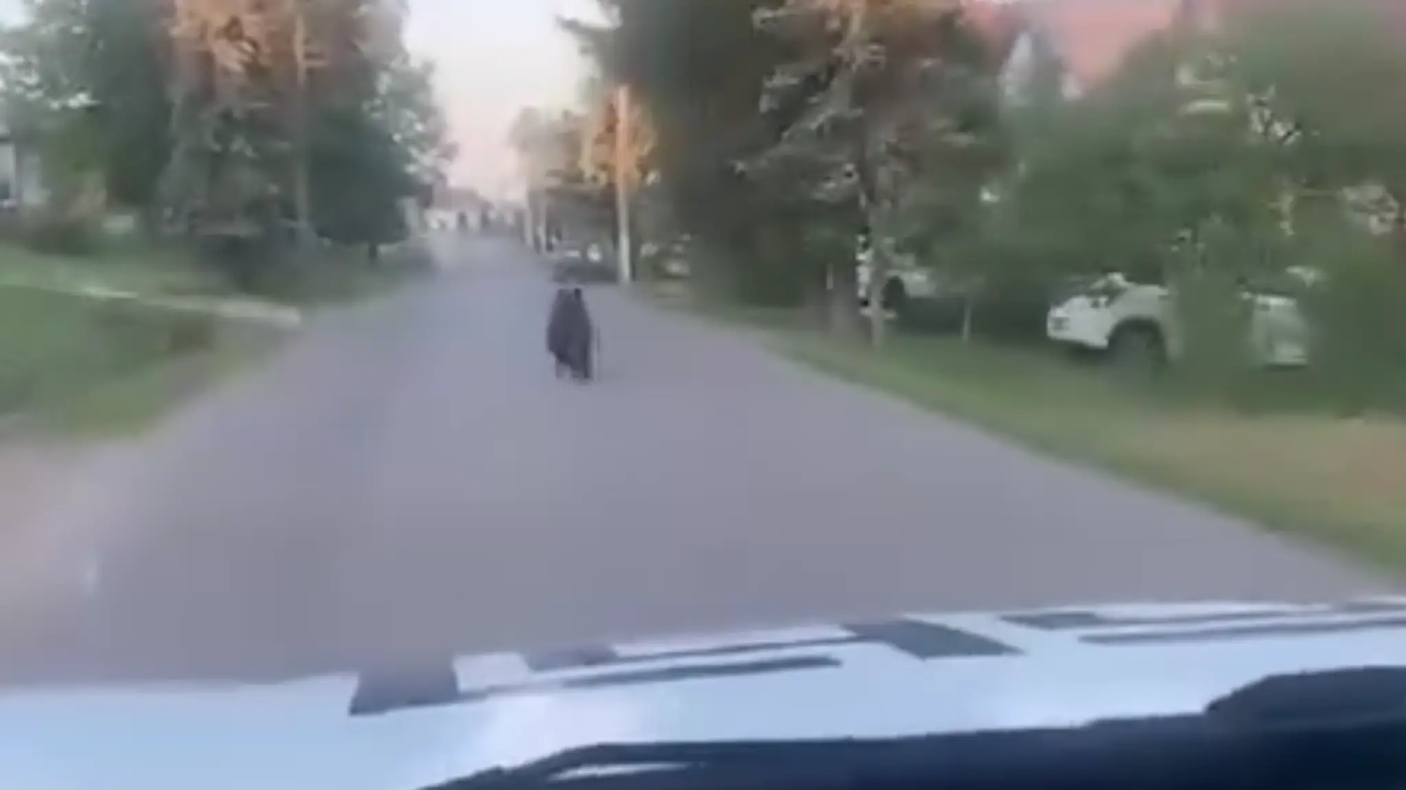 Záber z videa.