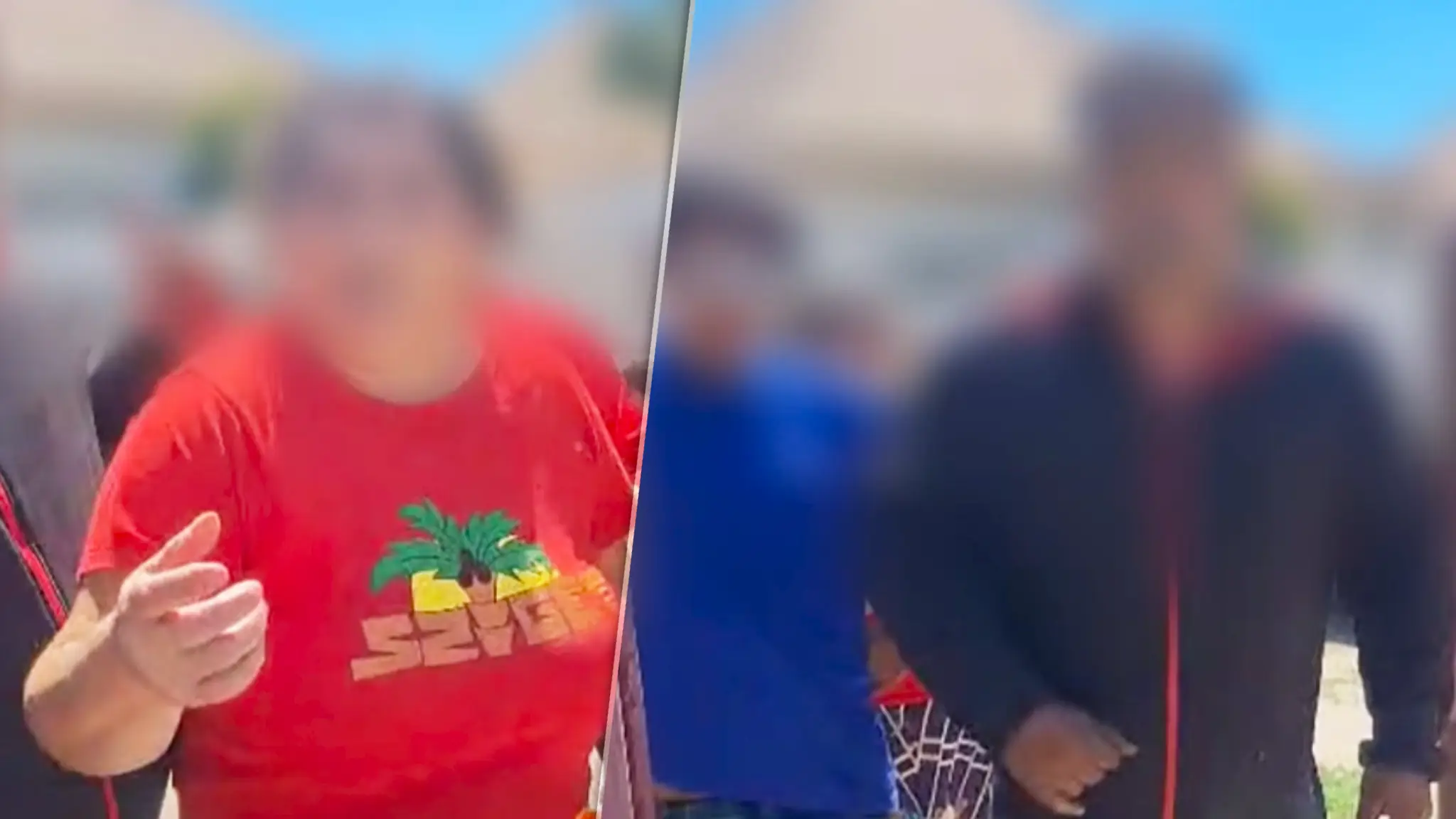 Inšpekcia sa skončila potýčkou, zasiahnuť musela polícia. 