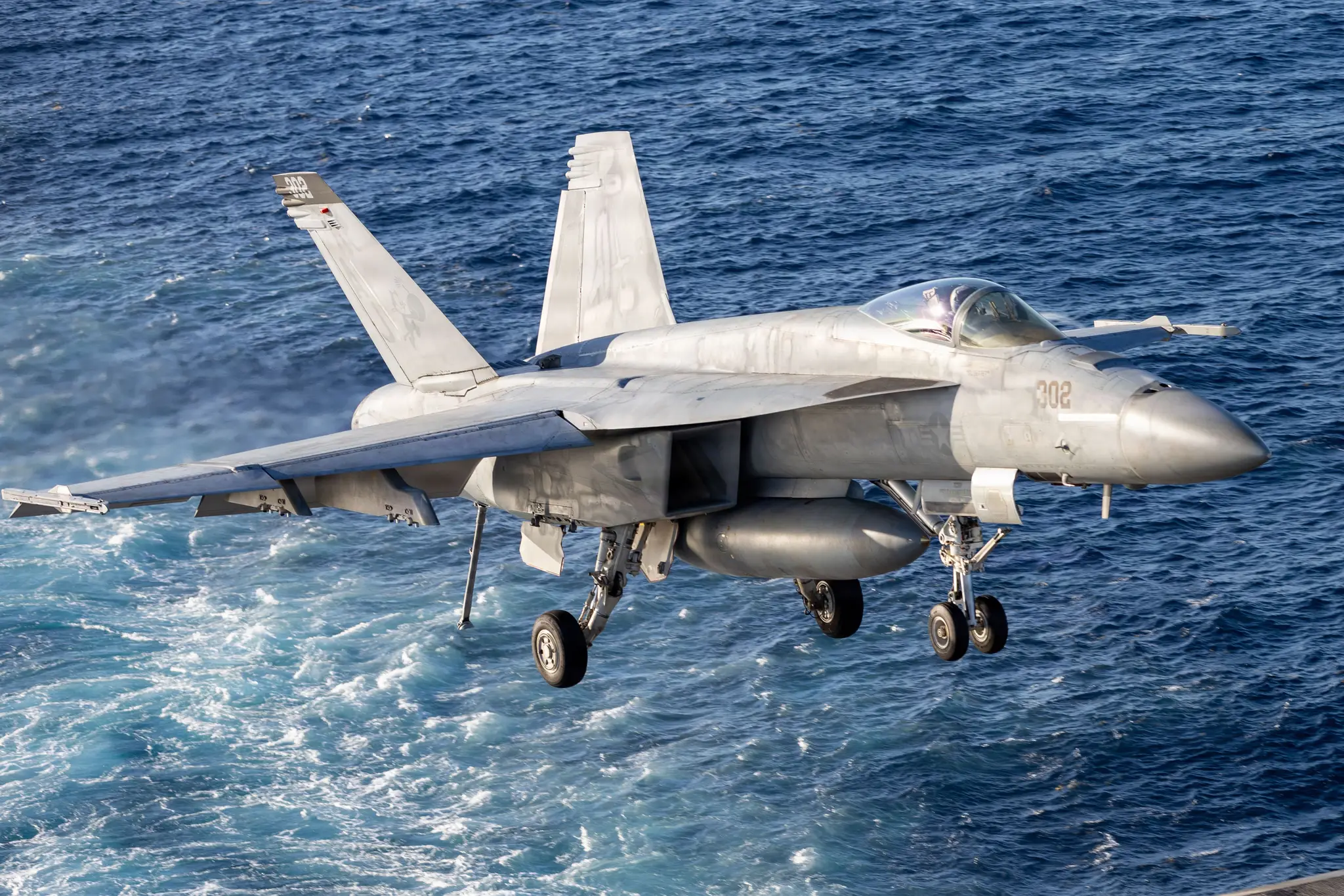 F/A-18E Super Hornet 