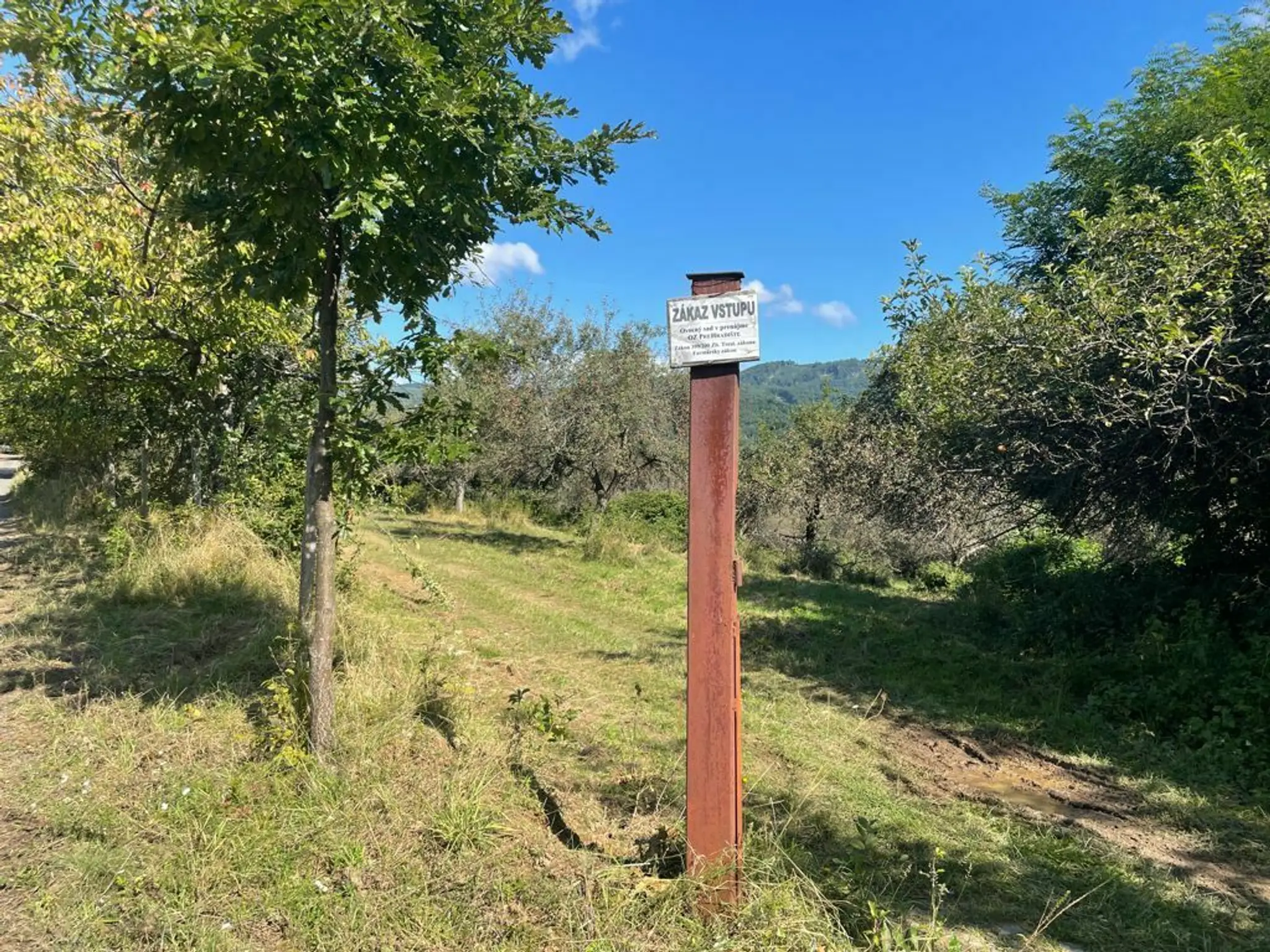 Miesto, kde došlo k útoku medveďa na ženu.