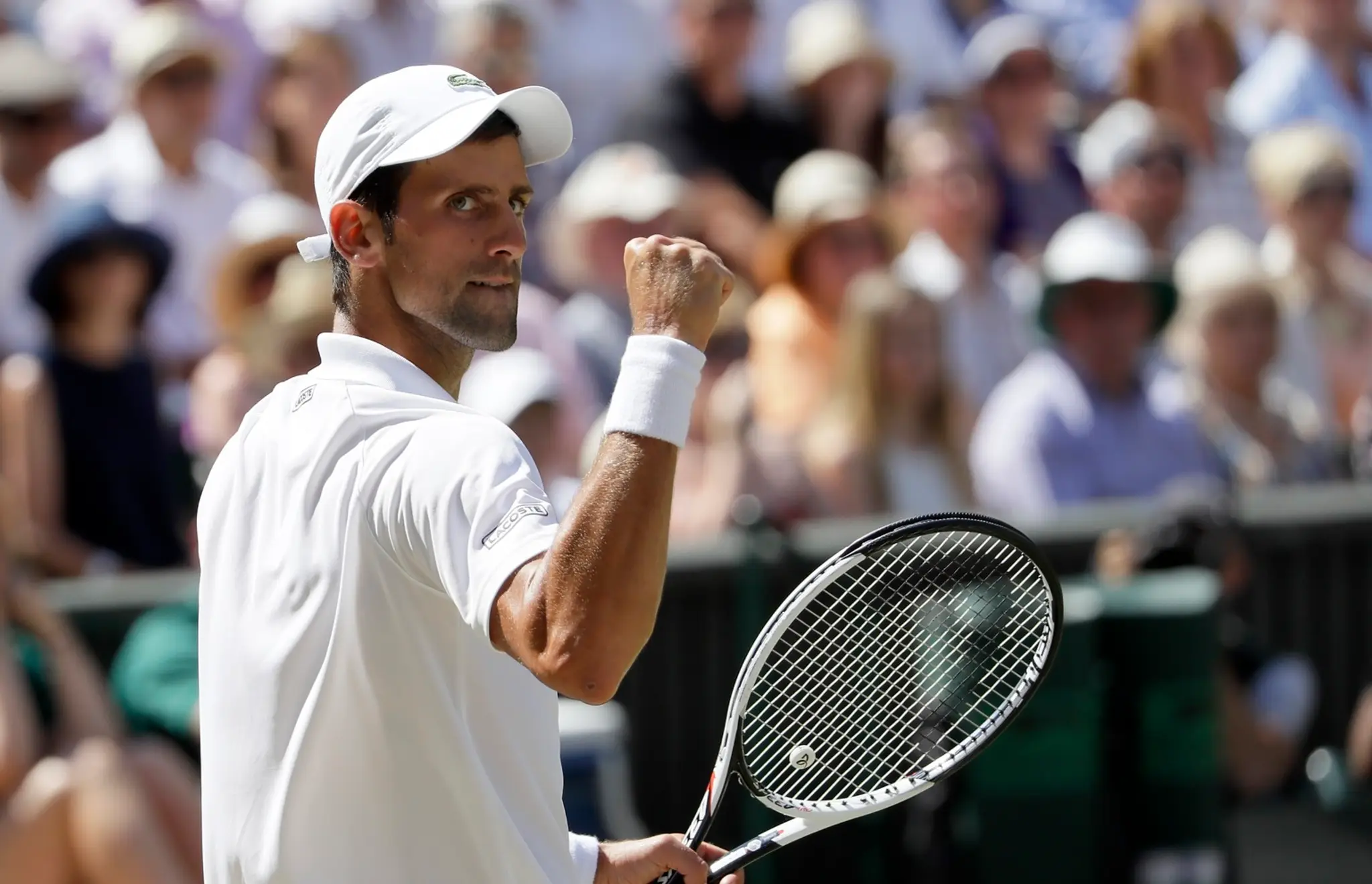 Novak Djokovič.