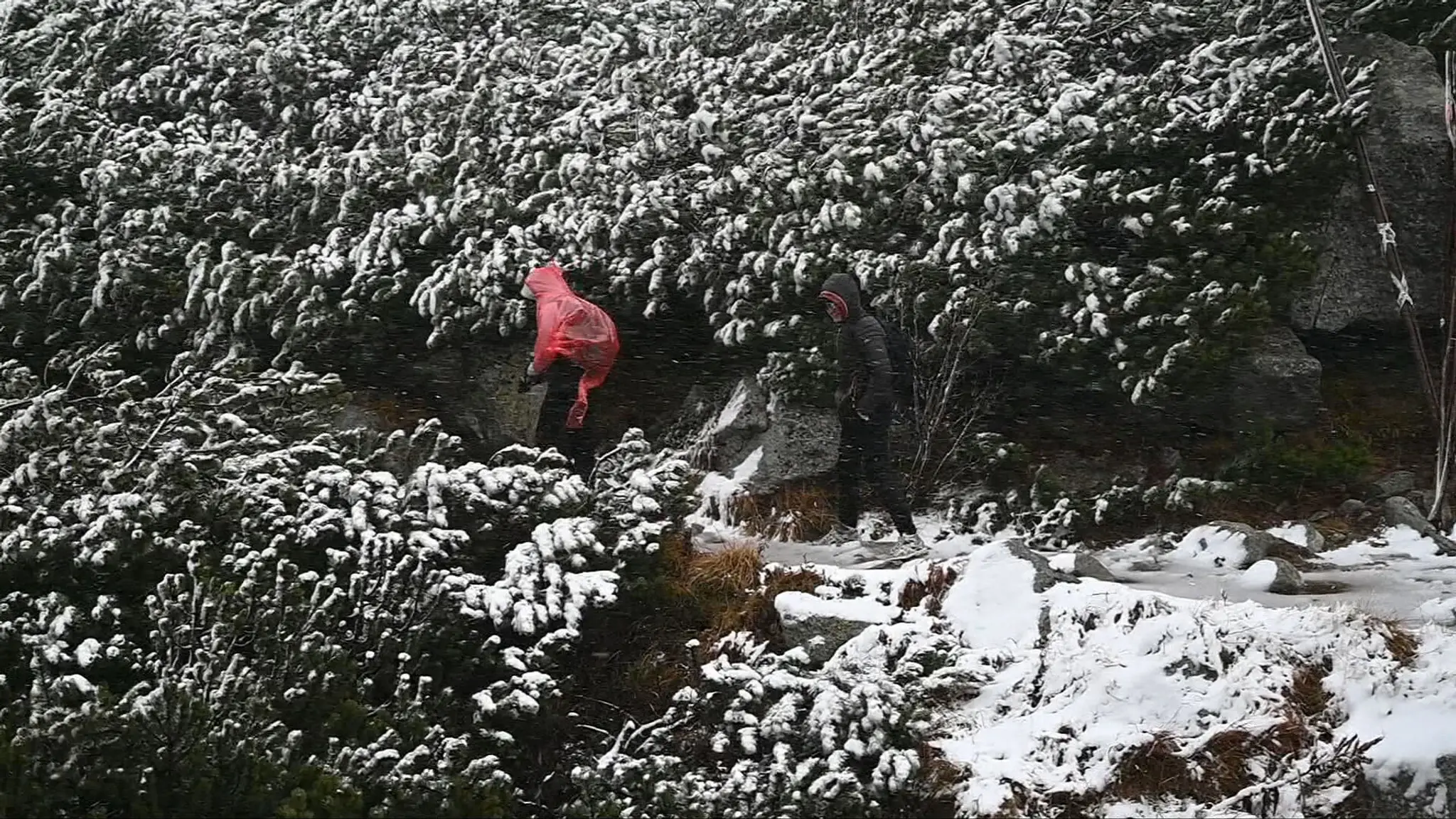 Ukrajinskí turisti sa vybrali na Poľský hrebeň počas fujavice iba v teniskách.