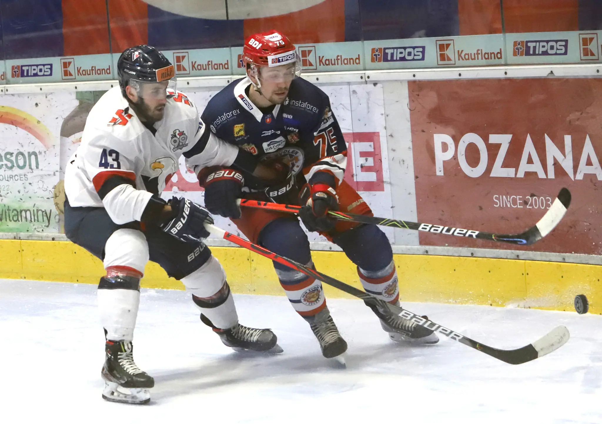 HKM Zvolen – HC Slovan Bratislava 