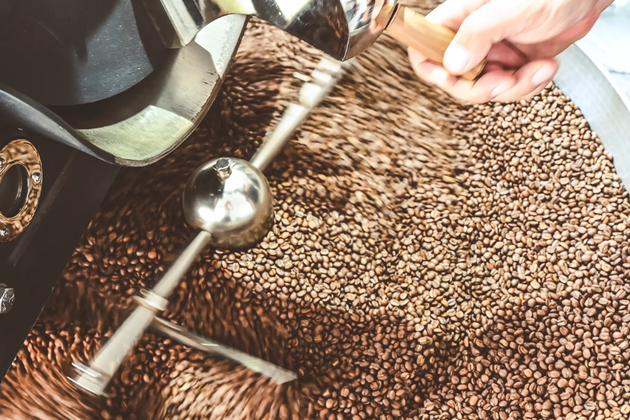 EBENICA COFFEE.