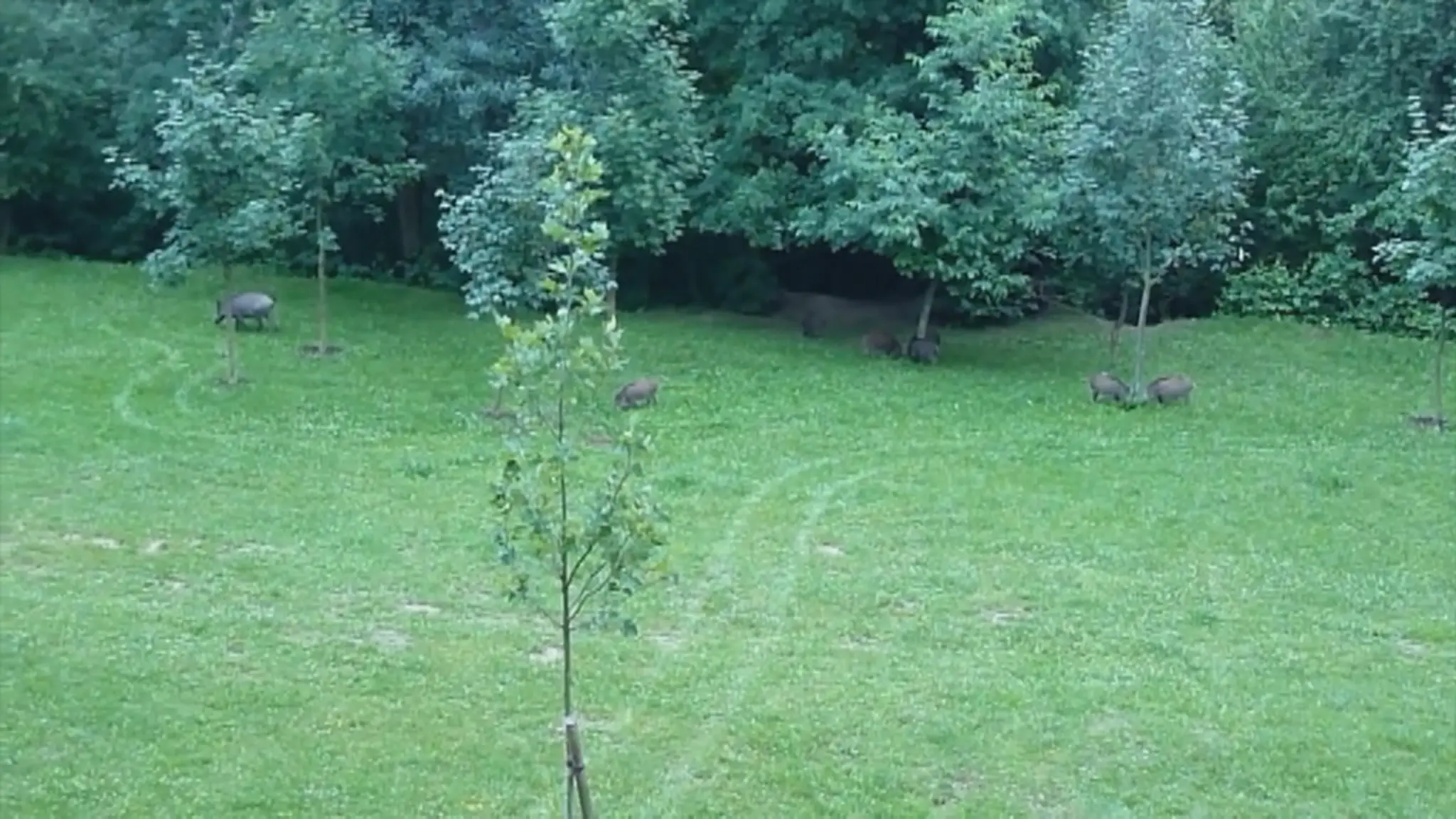 Ranný pohľad.