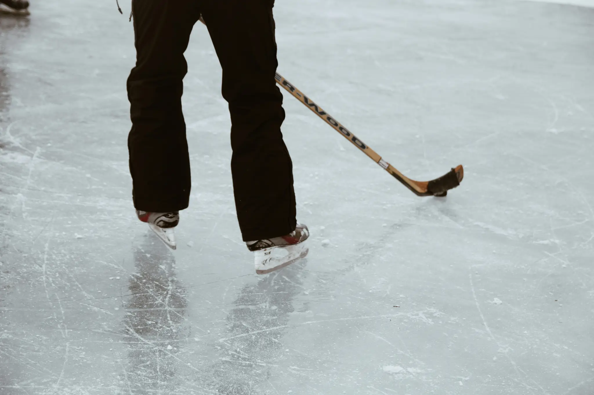 taylor-friehl-2l5TYOv6YeQ-unsplash
