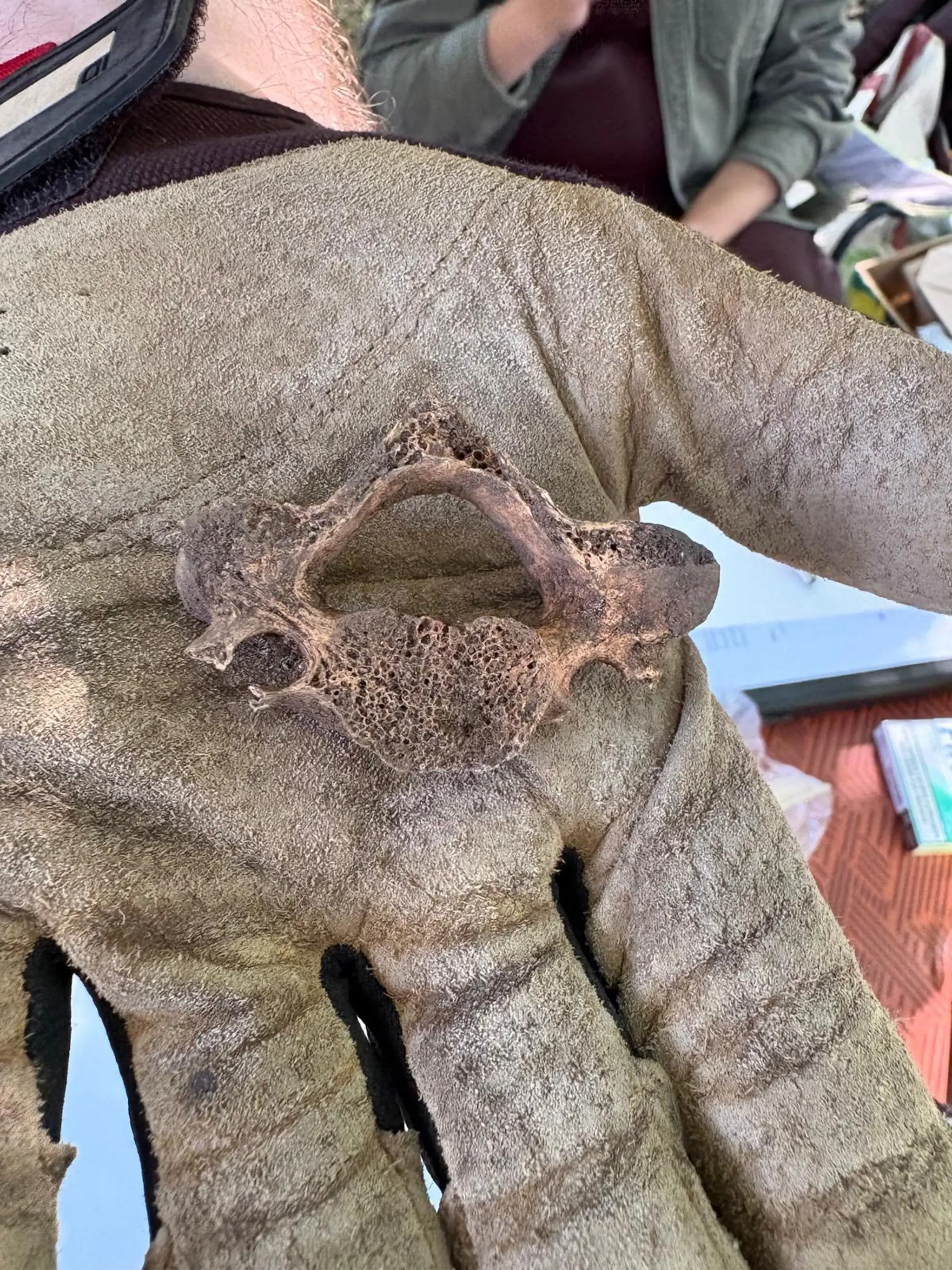 Archeologické nálezy na Stupavskej šibenici.