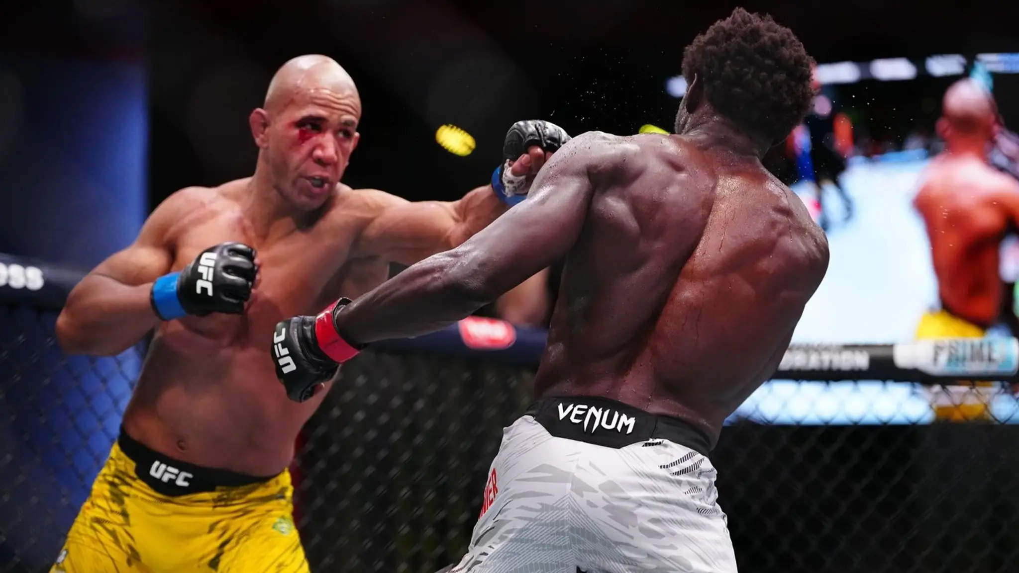 UFC Vegas 102