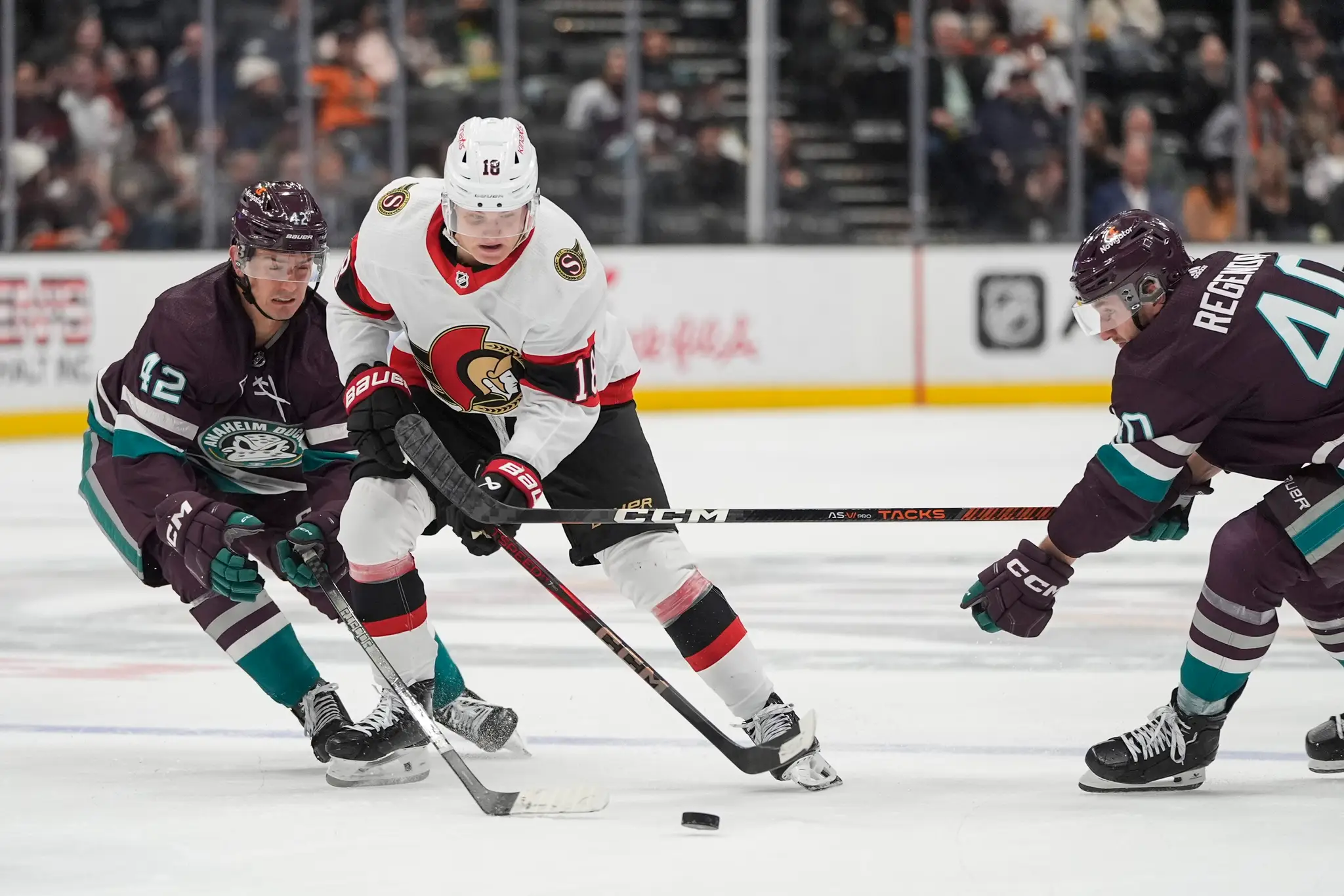 Pavol Regenda odohral za Anaheim prvý zápas v sezóne.