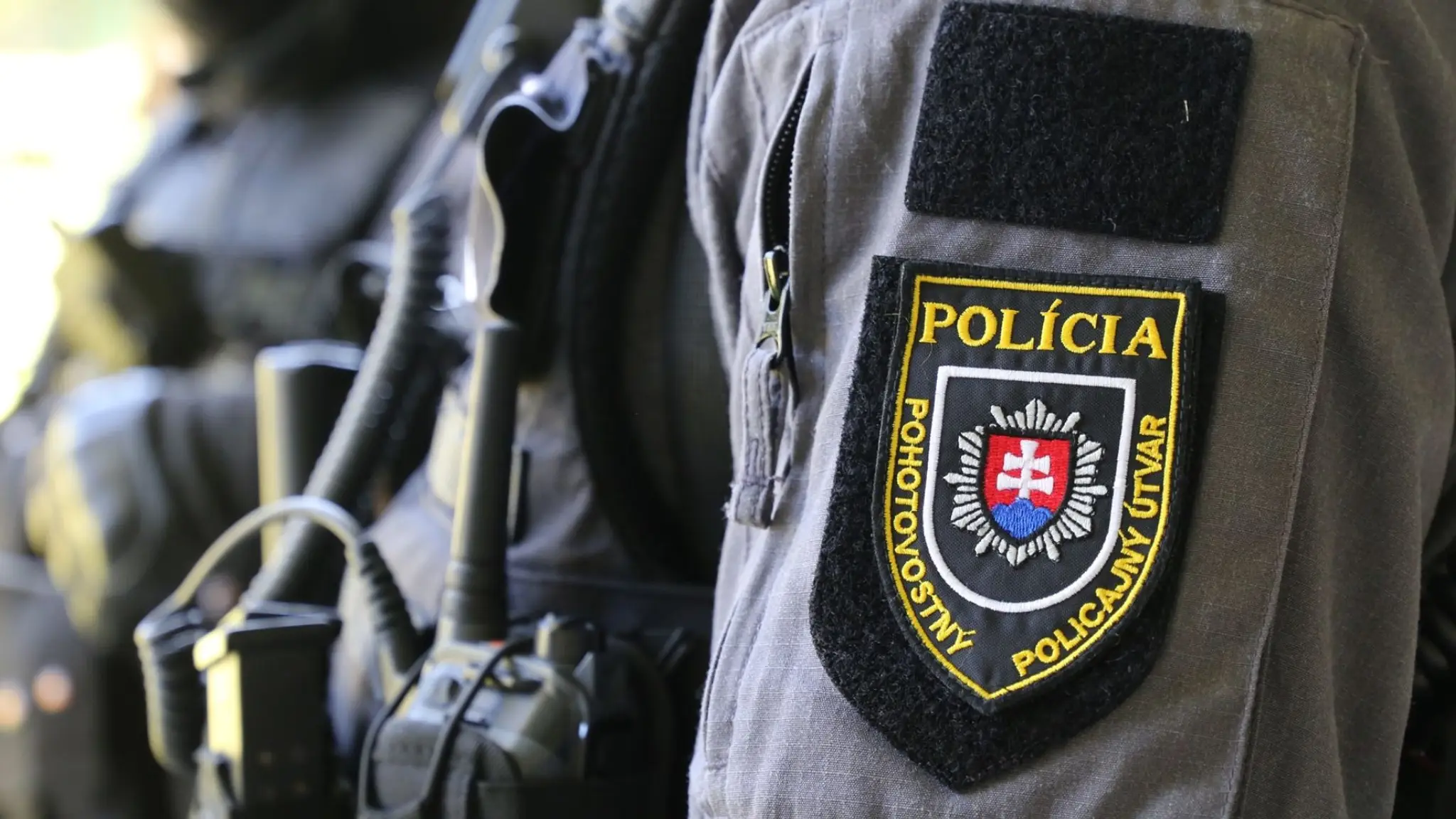 Polícia, pohotovostný policajný útvar.