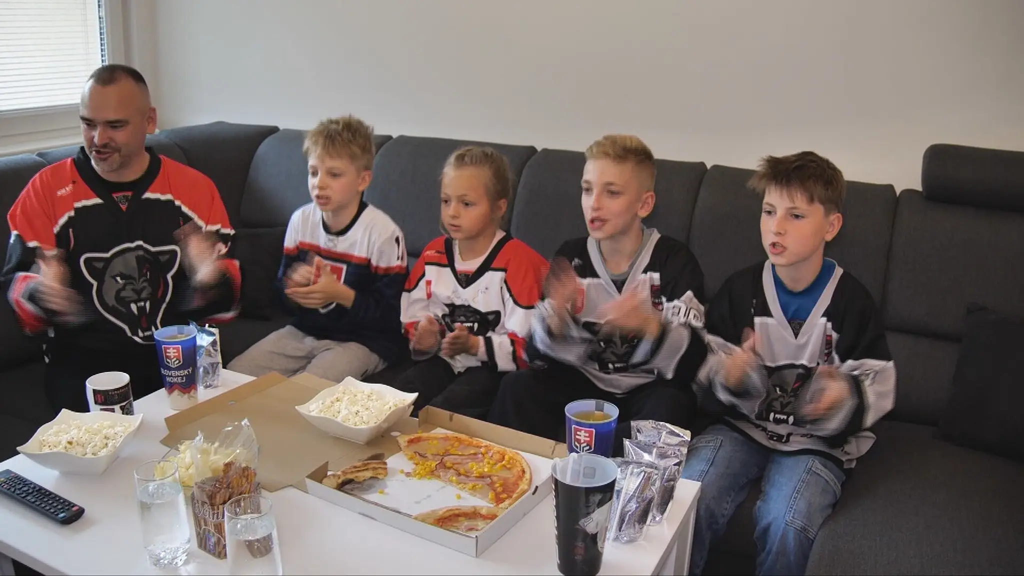 Fandenie hokej