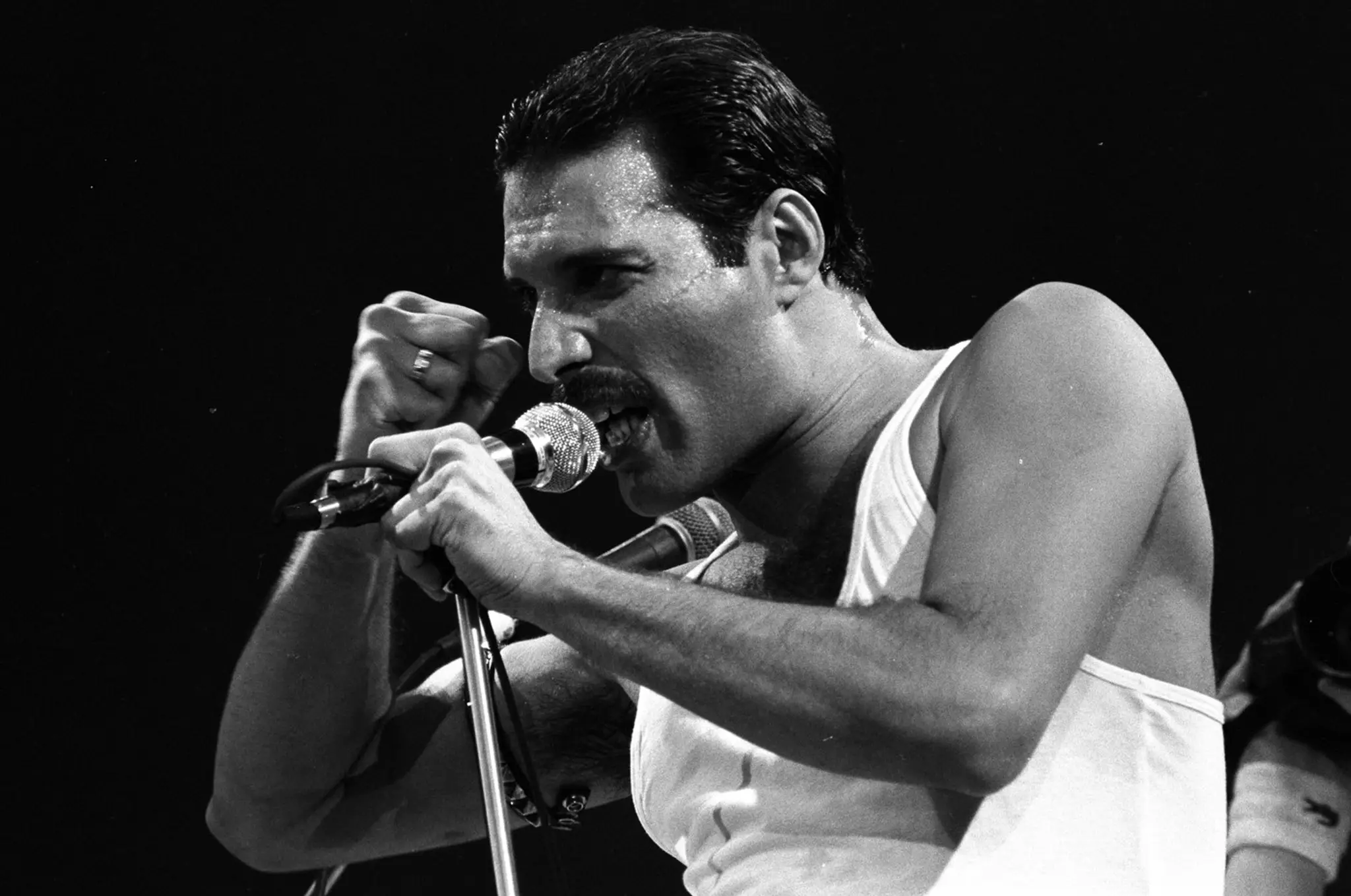 Freddie Mercury - archívna snímka