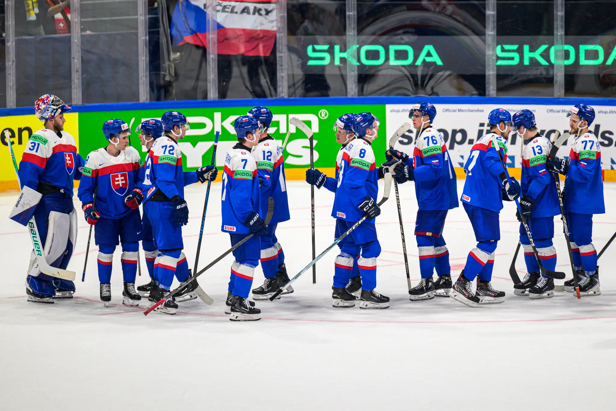 Slovenskí hokejisti.